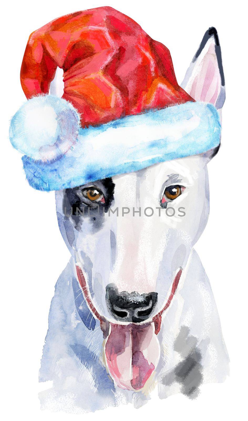 Watercolor portrait of bull terrier with Santa hat by NataOmsk