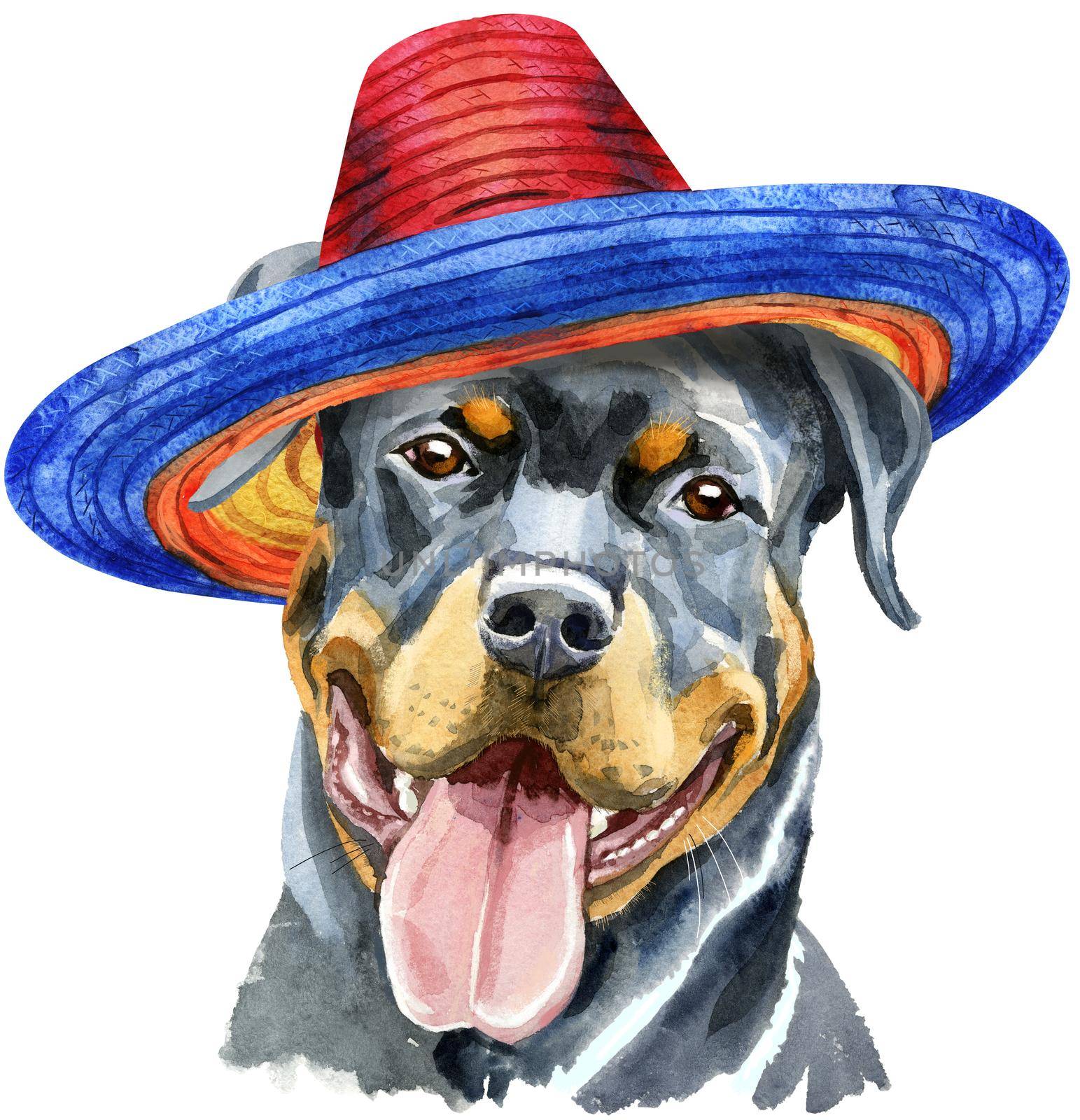 Watercolor portrait of rottweiler in mexican hat by NataOmsk