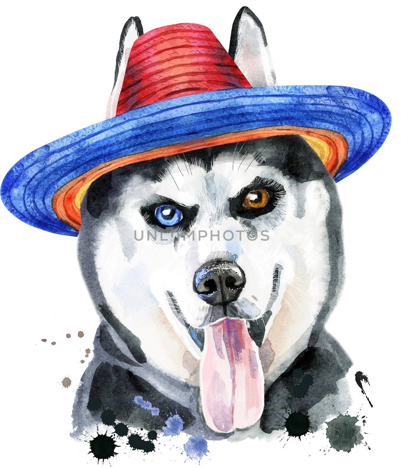 Cute Dog in sombrero. Dog T-shirt graphics. watercolor husky