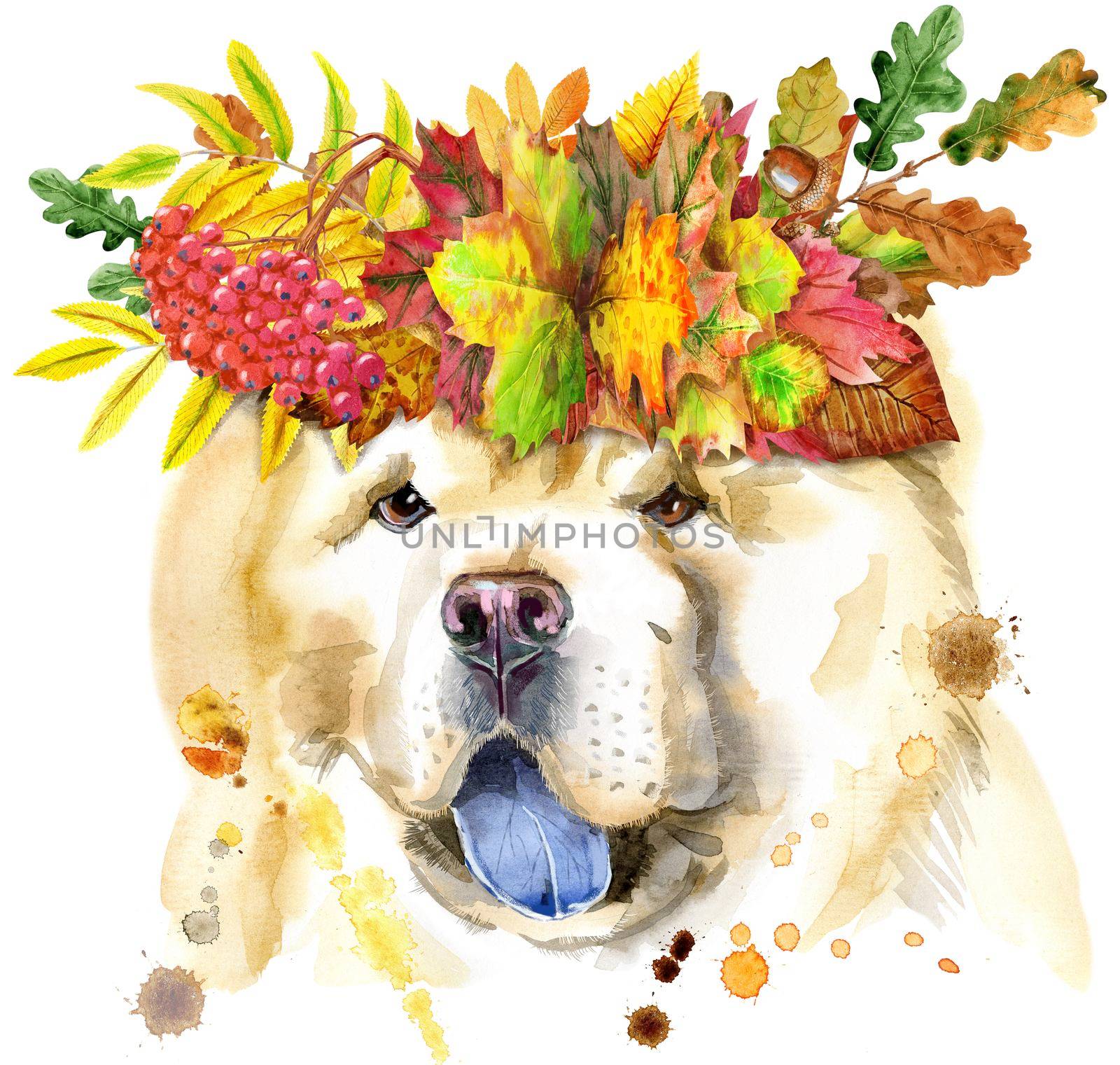 Cute Dog with wreath of leaves. Dog T-shirt graphics. watercolor chow-chow dog illustration