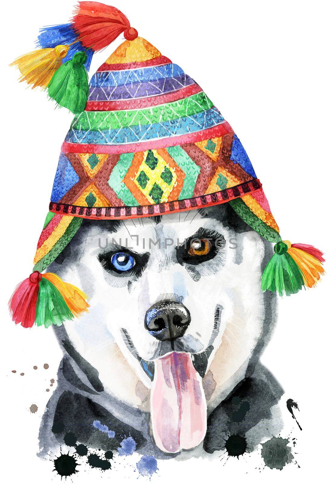 Watercolor portrait of husky in a Peruvian hat by NataOmsk