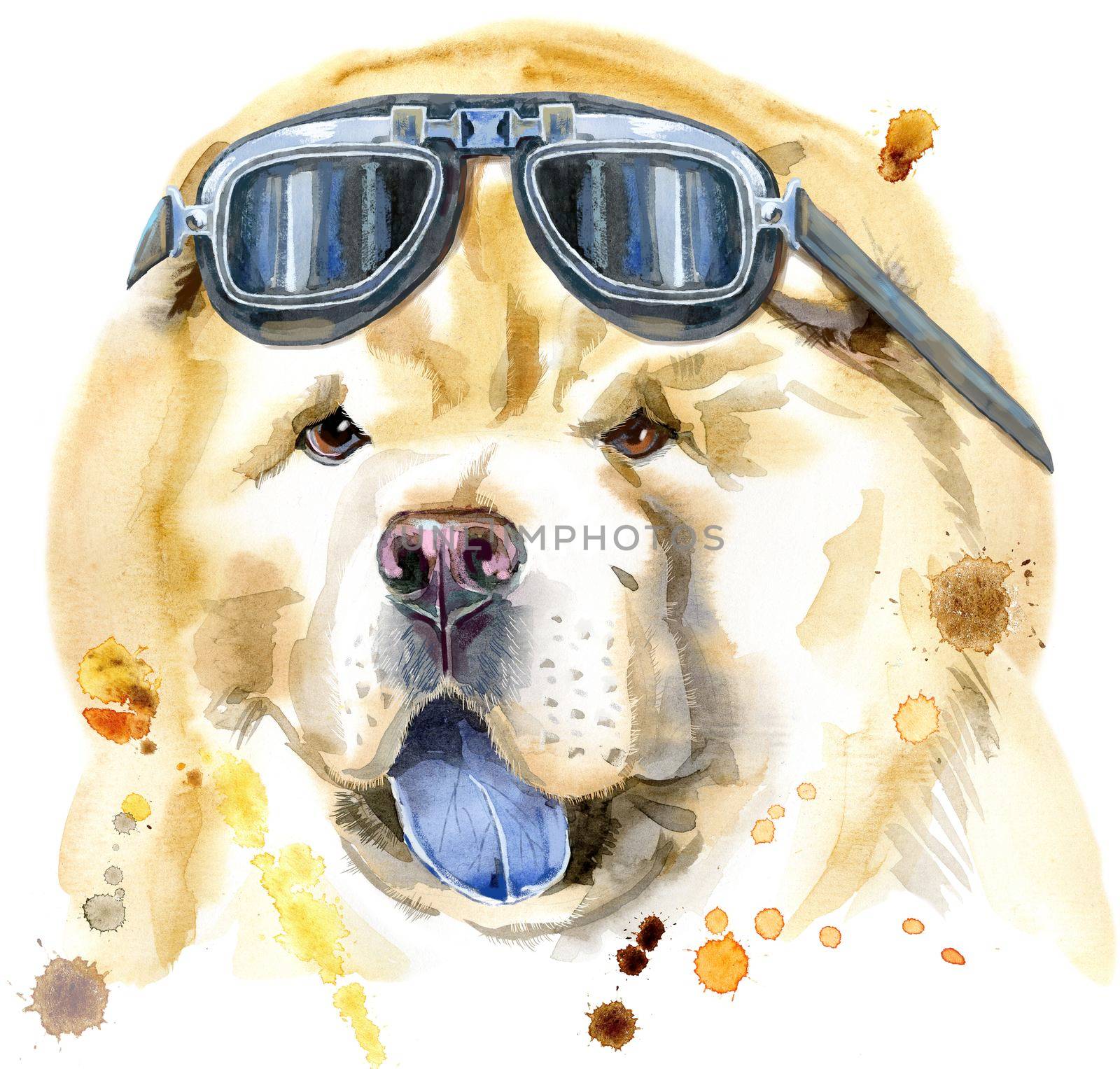 Cute Dog with biker sunglasses. Dog T-shirt graphics. Watercolor chow-chow dog illustration