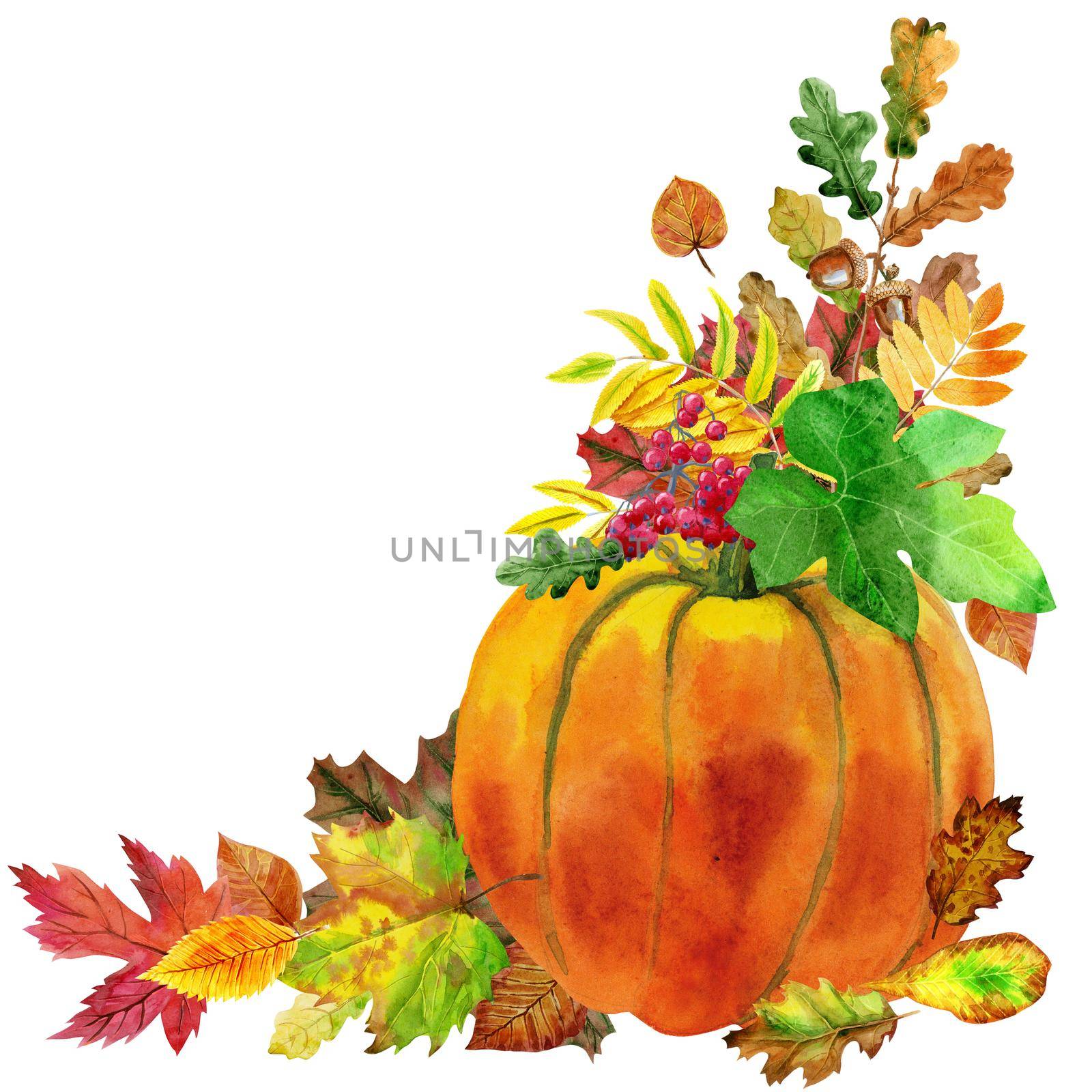 Fall leaves with pumpkin on white background, fall harvest