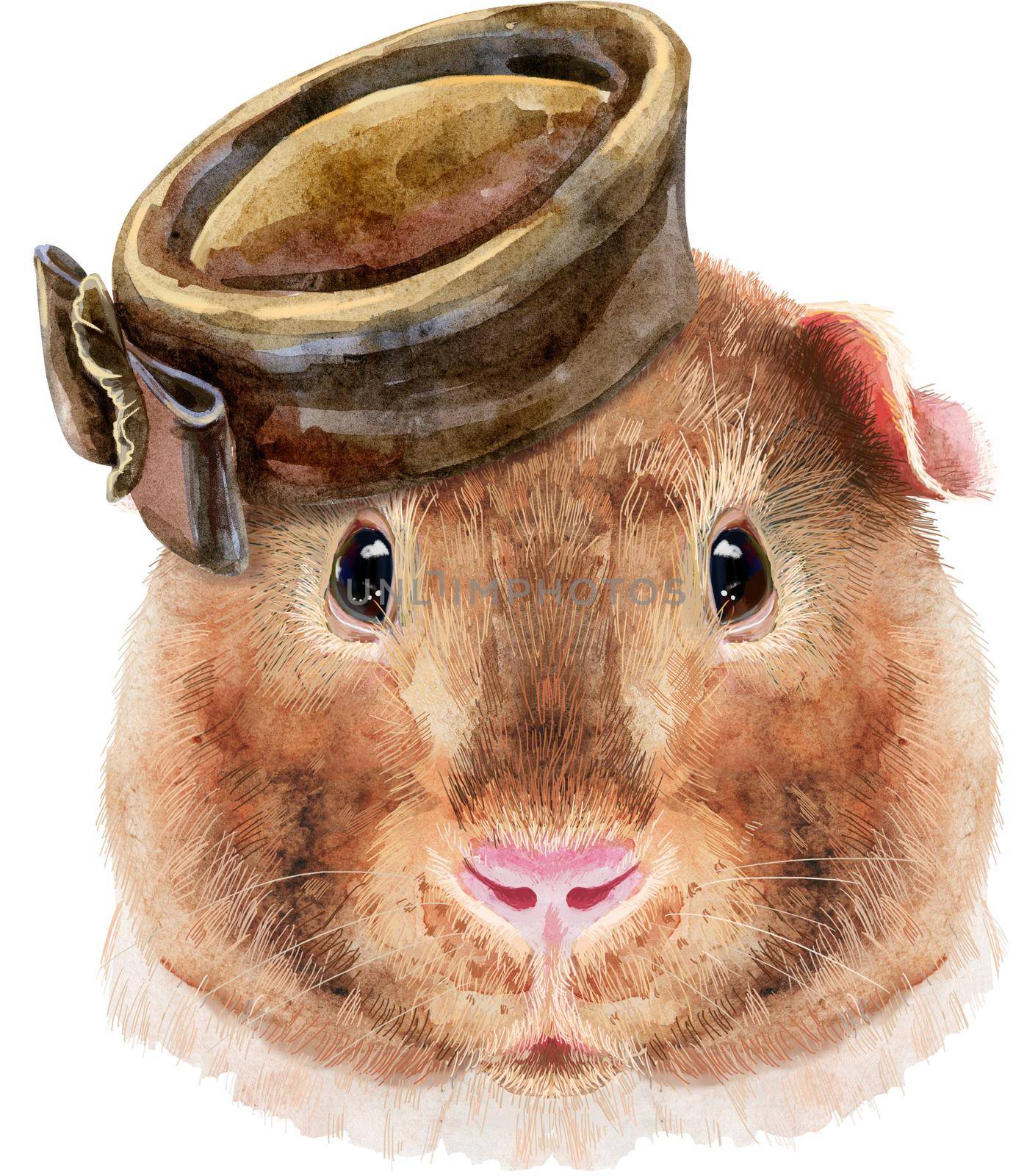 Watercolor portrait of Teddy guinea pig with brown hat on white background by NataOmsk