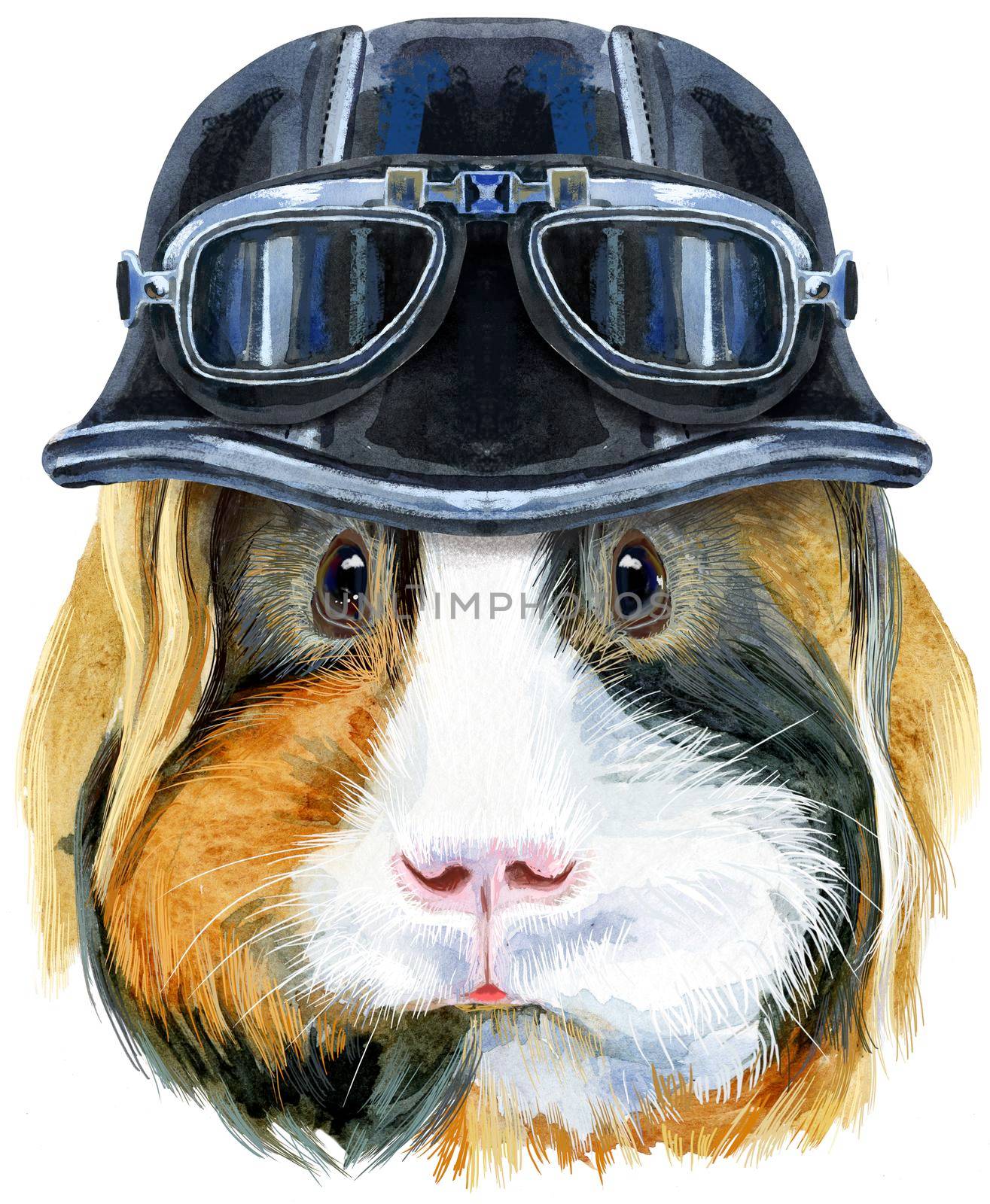 Cute cavy. Pig for T-shirt graphics. Watercolor Sheltie Guinea Pig with biker helmet illustration