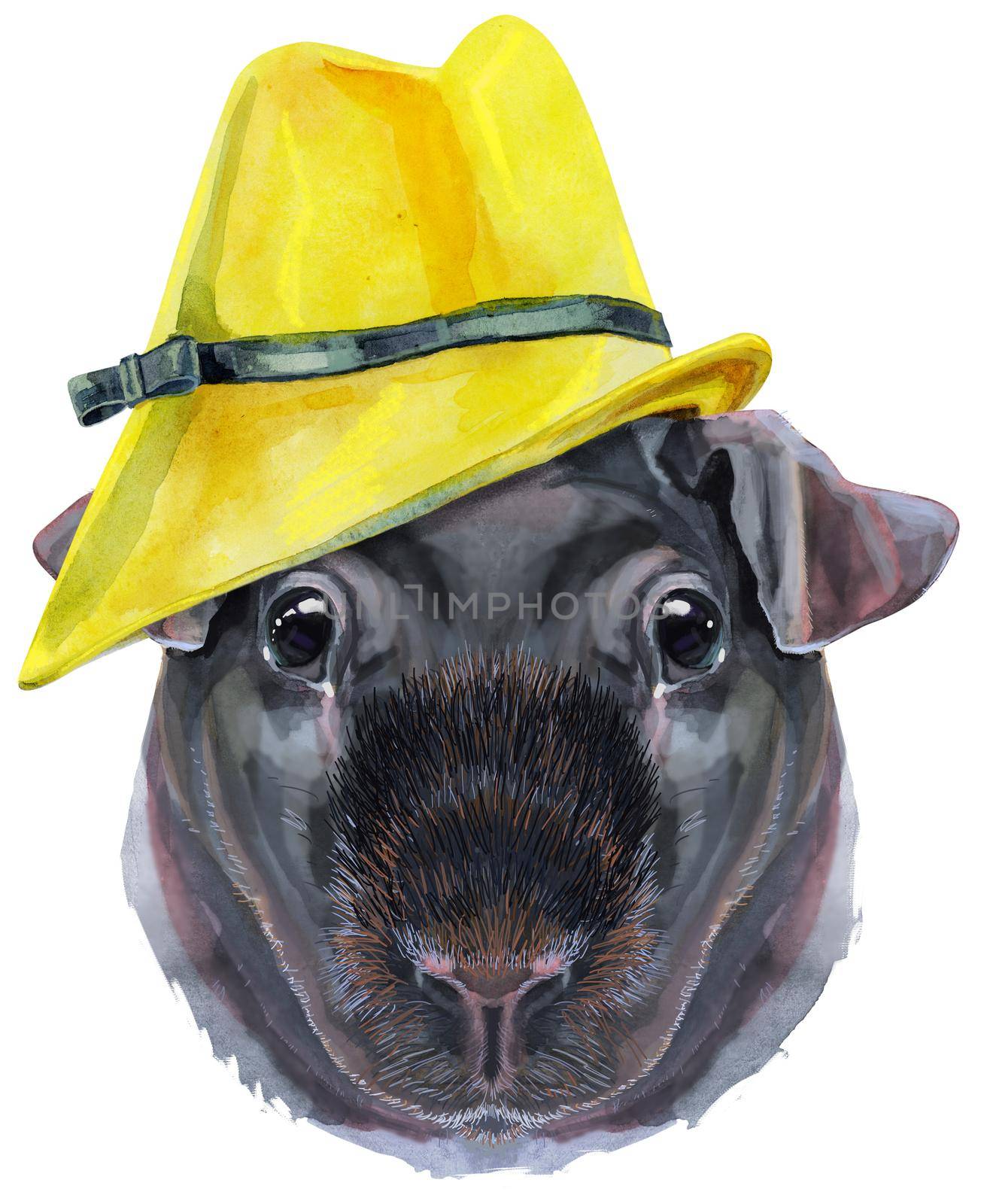 Watercolor portrait of Skinny Guinea Pig in yellow hat on white background by NataOmsk