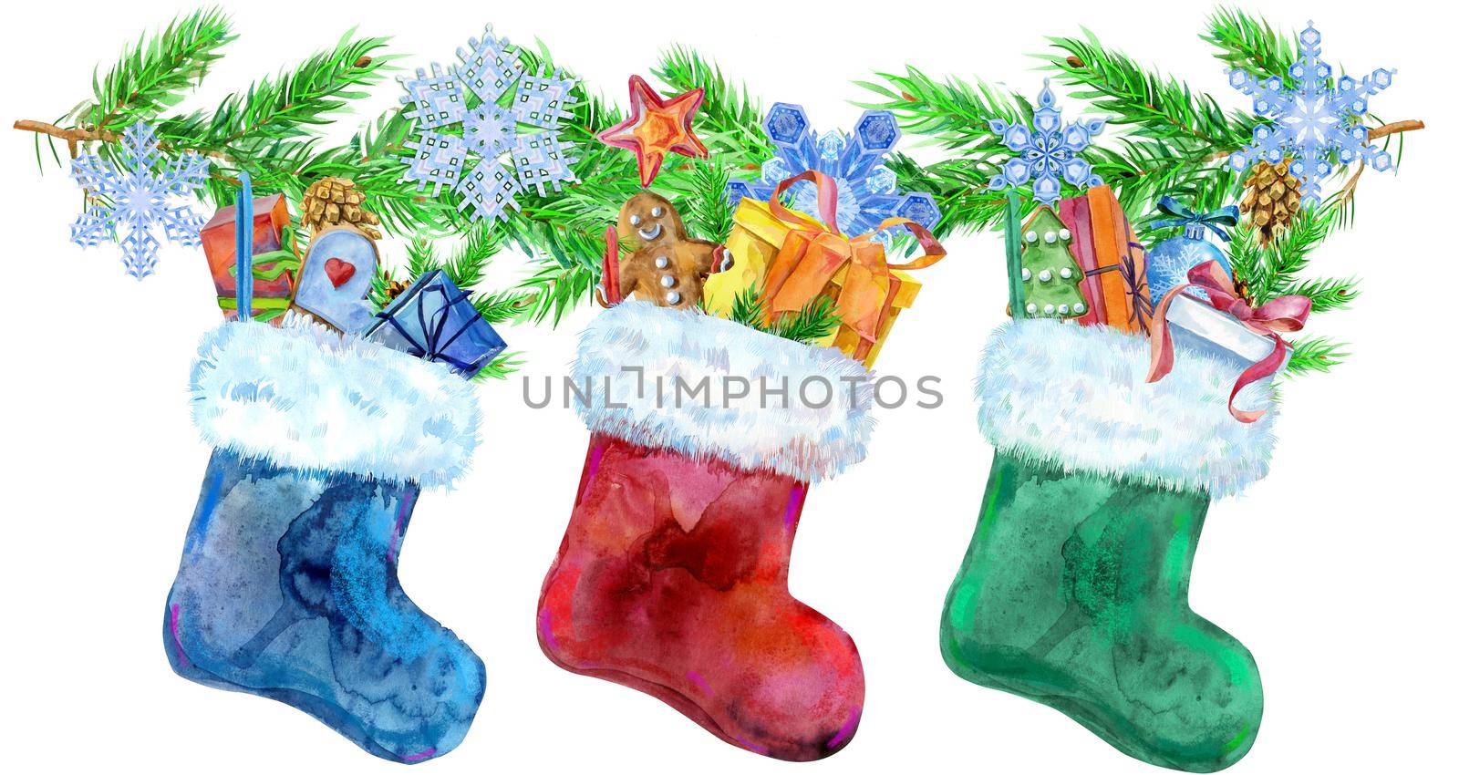 Christmas colorfull socks with gifts and spruce branches isolated on white background. Watercolor hand drawn illustration