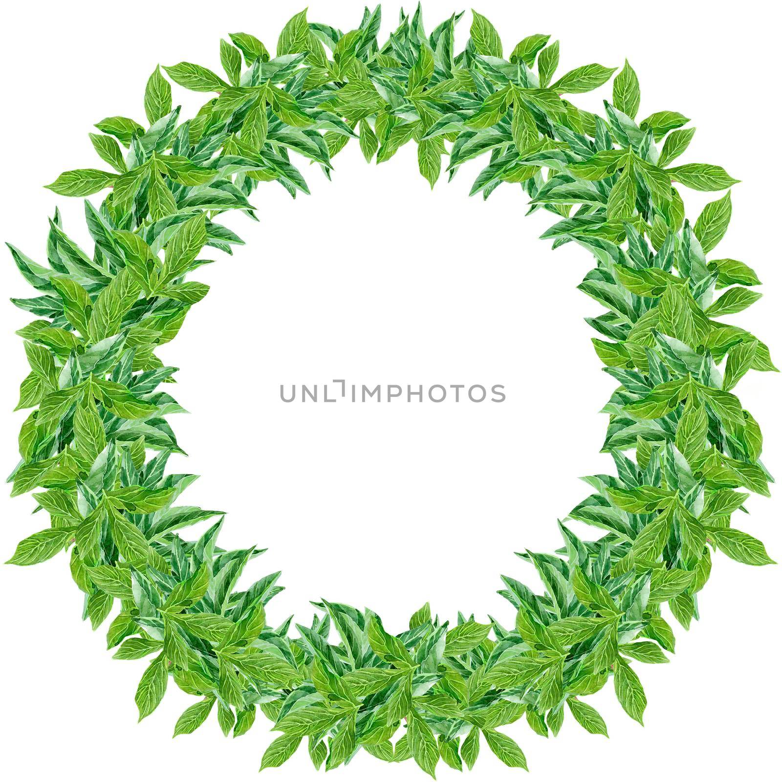 Lush luxury wreath of greenery with small leaves by NataOmsk
