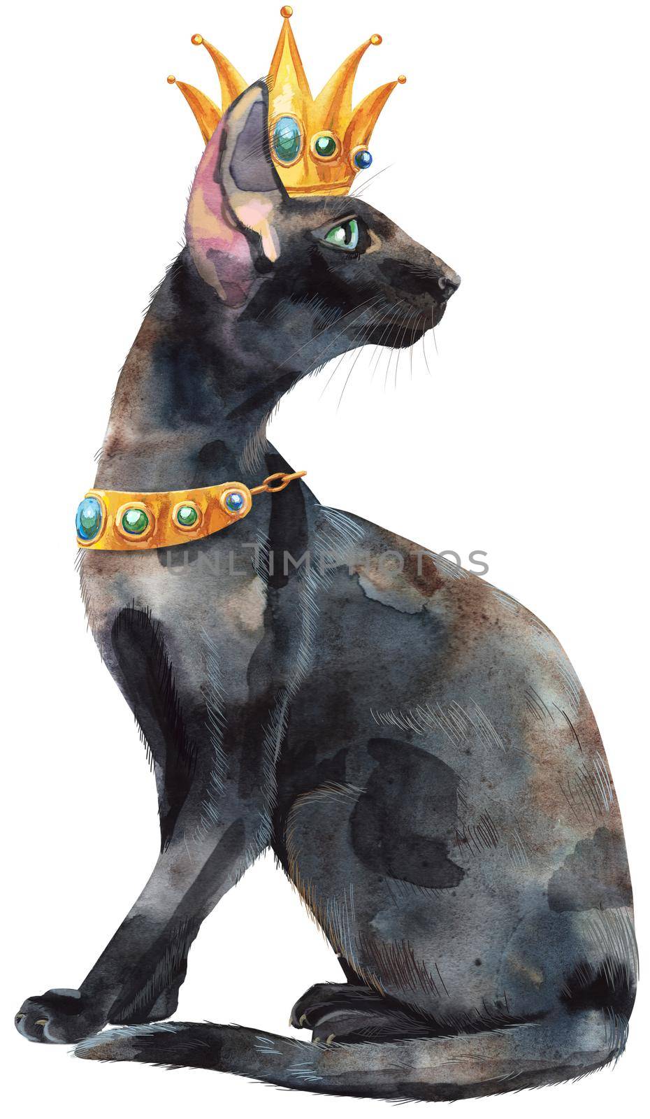 Watercolor oriental cat with gold crown. Hand drawn black short hair pet on white background.