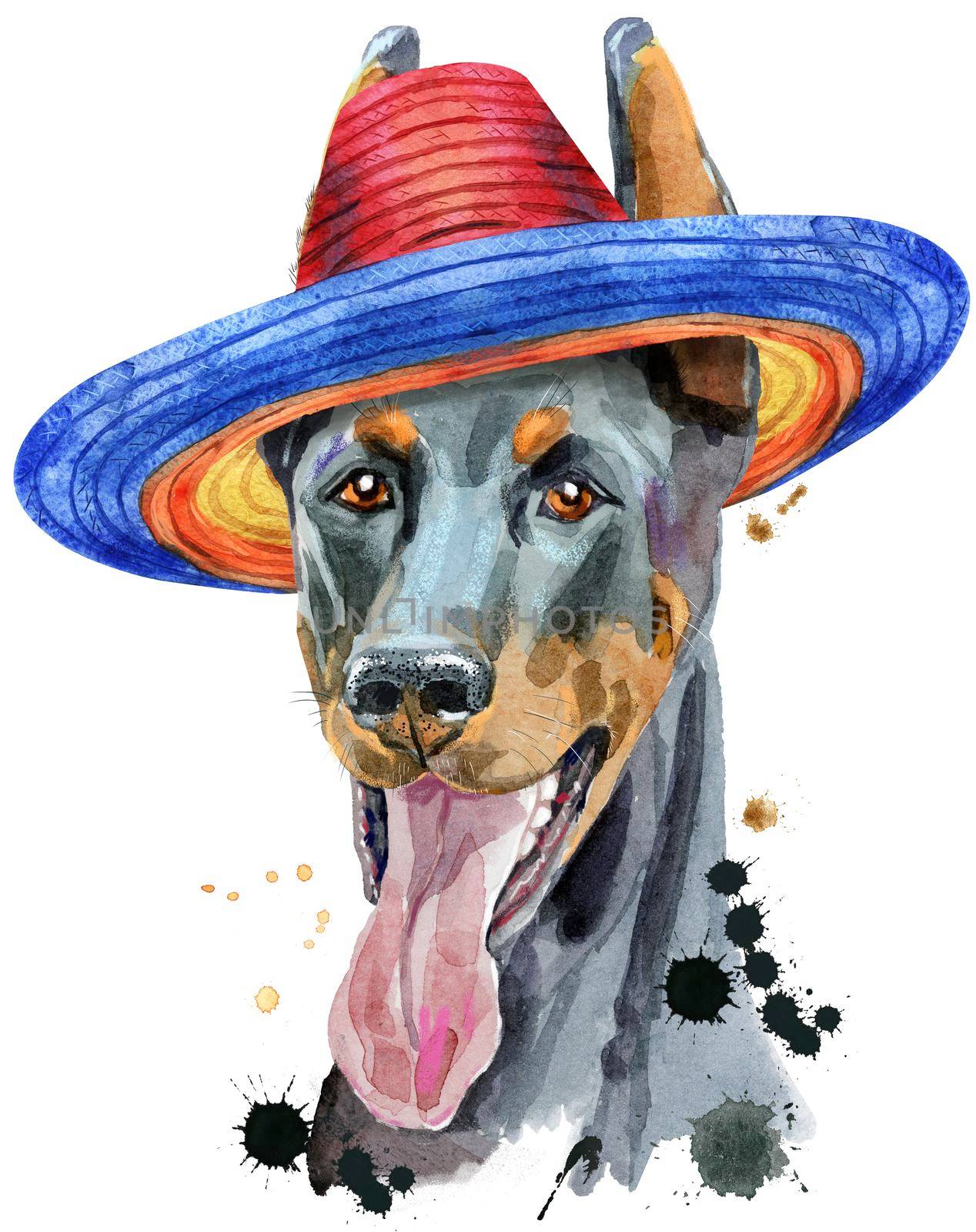 Watercolor portrait doberman in mexican wide brim hat by NataOmsk