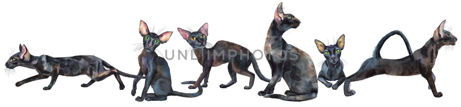 Watercolor border of oriental cats. Hand drawn black short hair pets on white background.