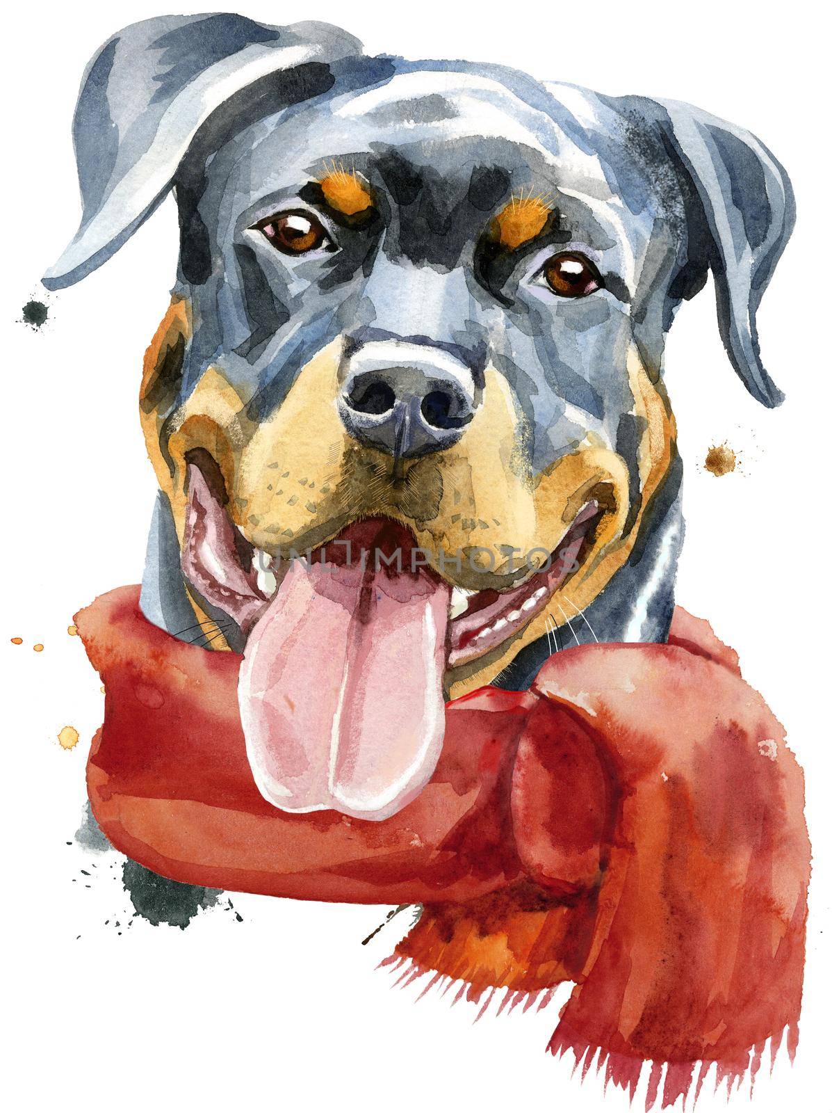 Watercolor portrait of rottweiler in a red scarf by NataOmsk