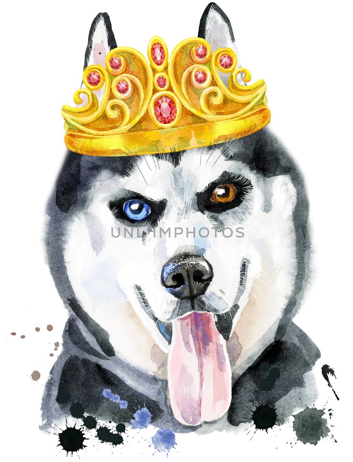 Cute Dog with golden crown. Dog T-shirt graphics. watercolor husky