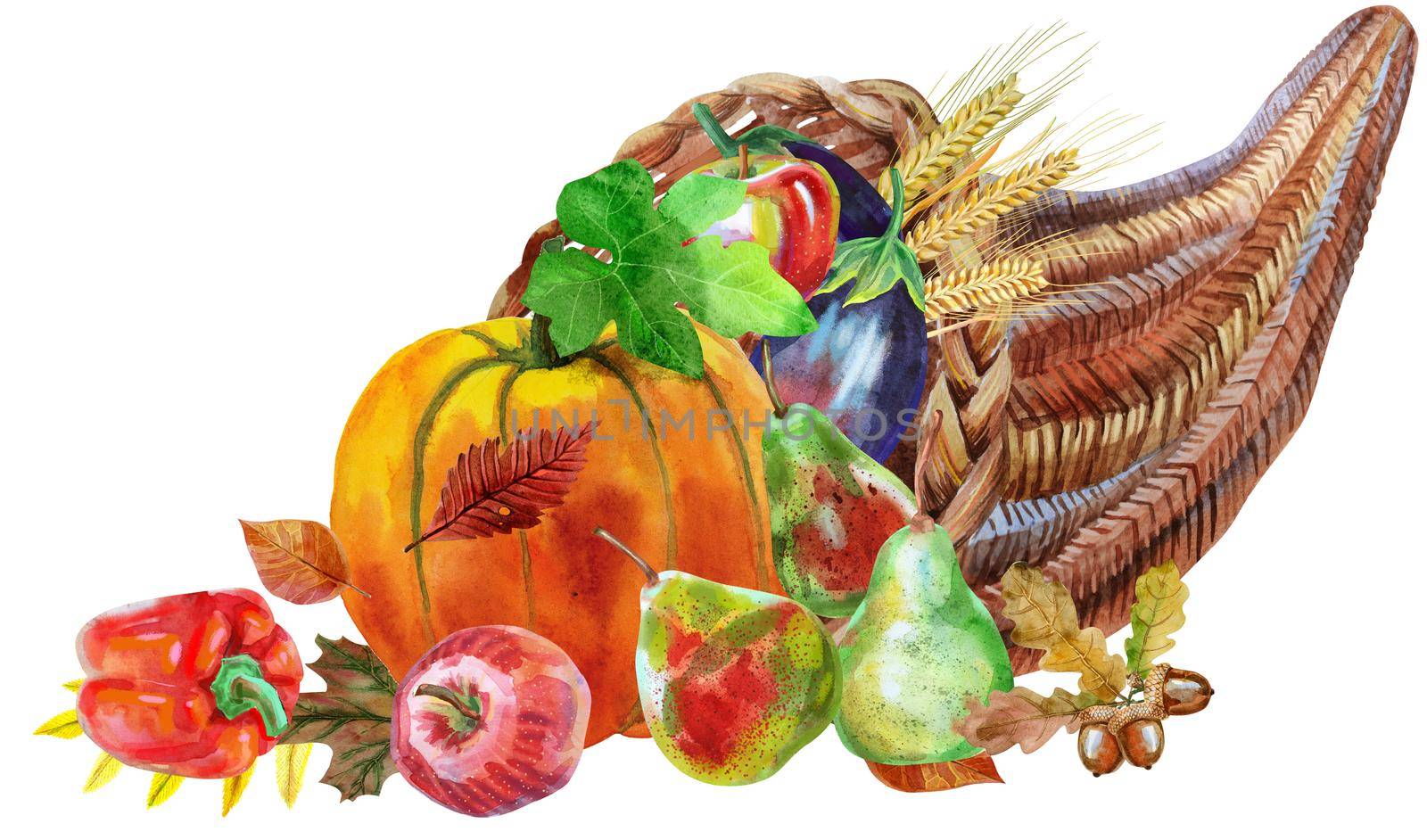 Hand drawn watercolor cornucopia with fall season harvest, pumpkin, apple and pepper. Food illustration isolated on white background.