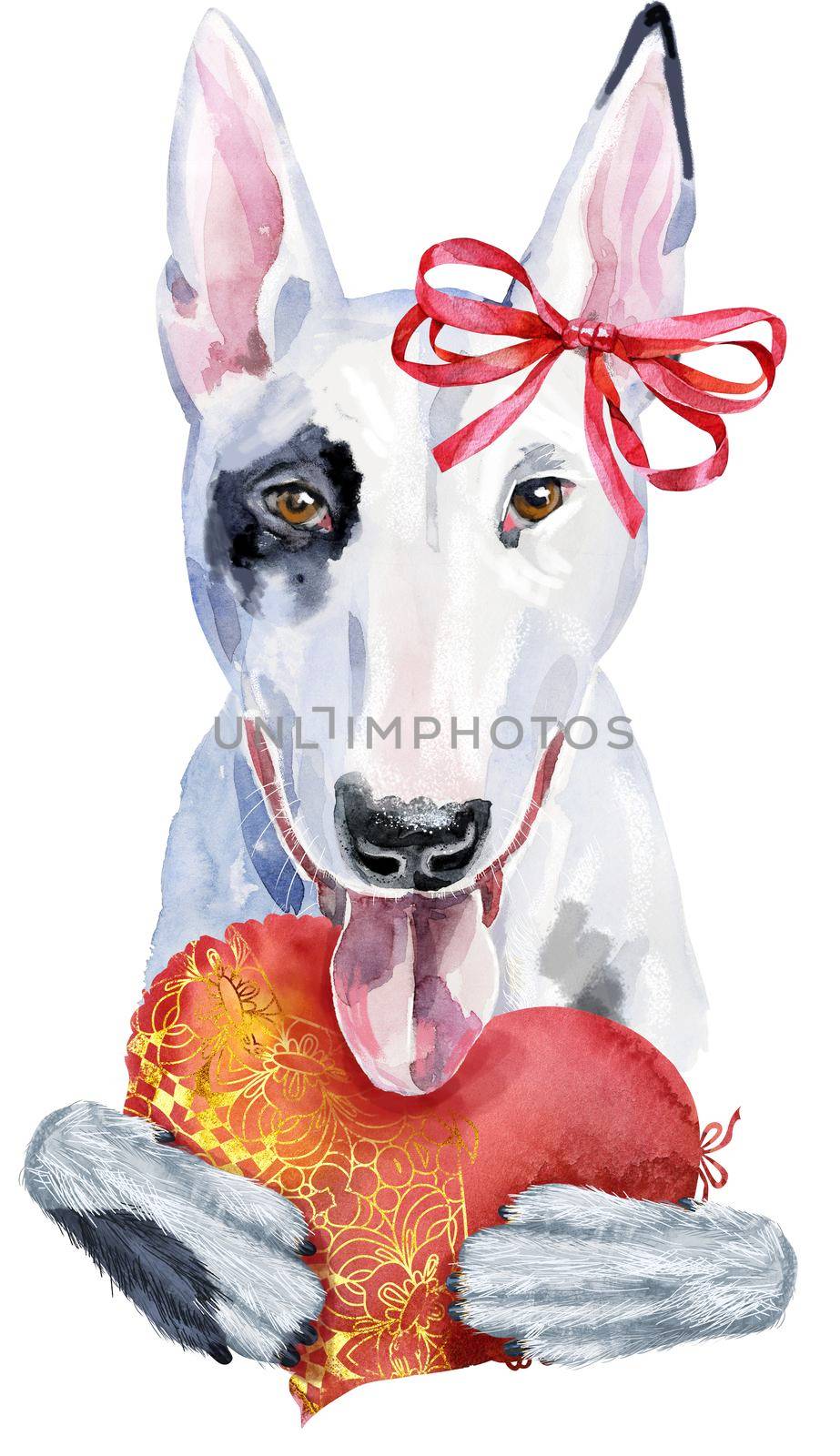 Watercolor portrait of bull terrier with red heart and bow by NataOmsk