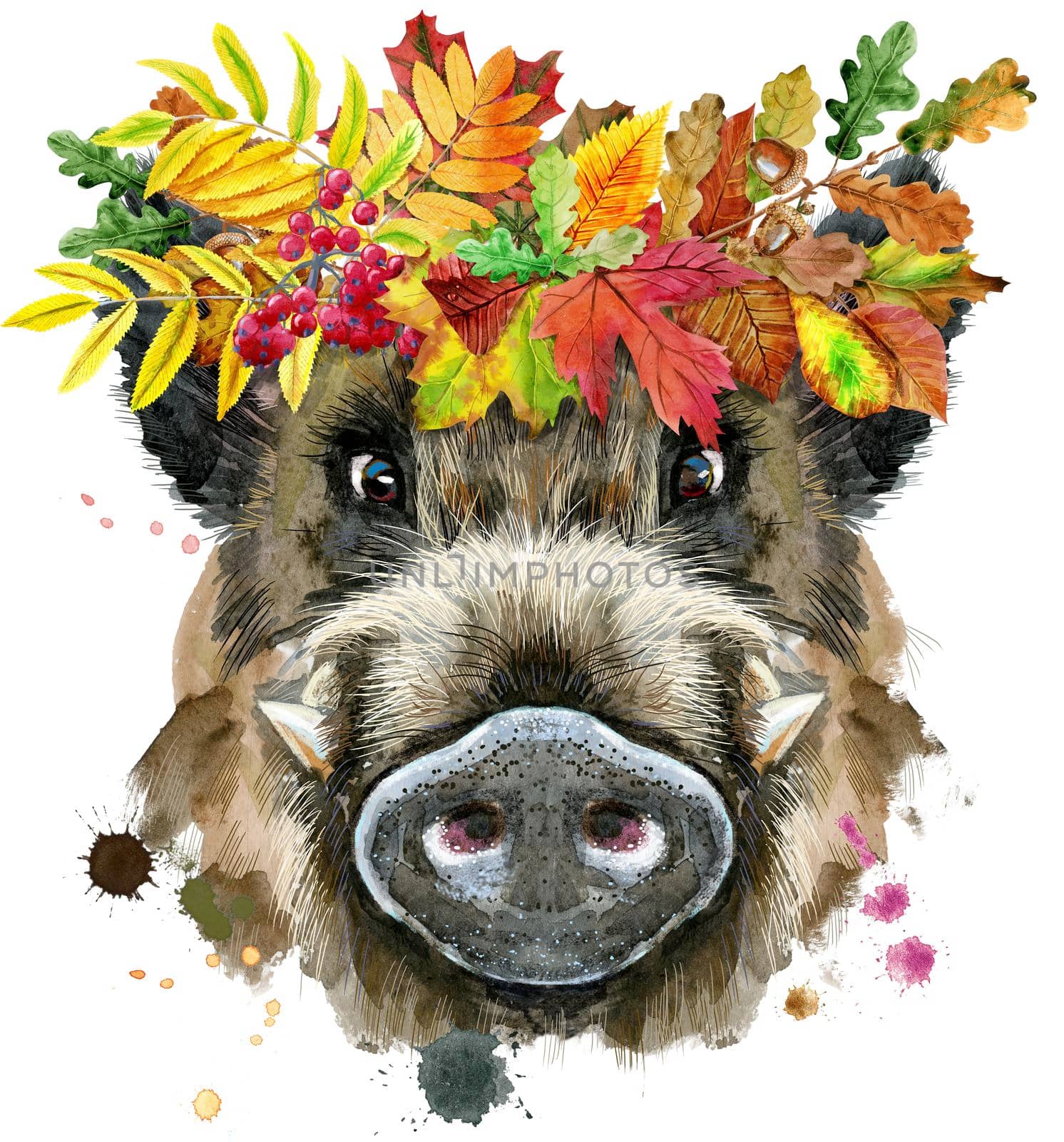 Cute piggy. Wild boar for T-shirt graphics. Watercolor brown boar illustration with wreath of leaves