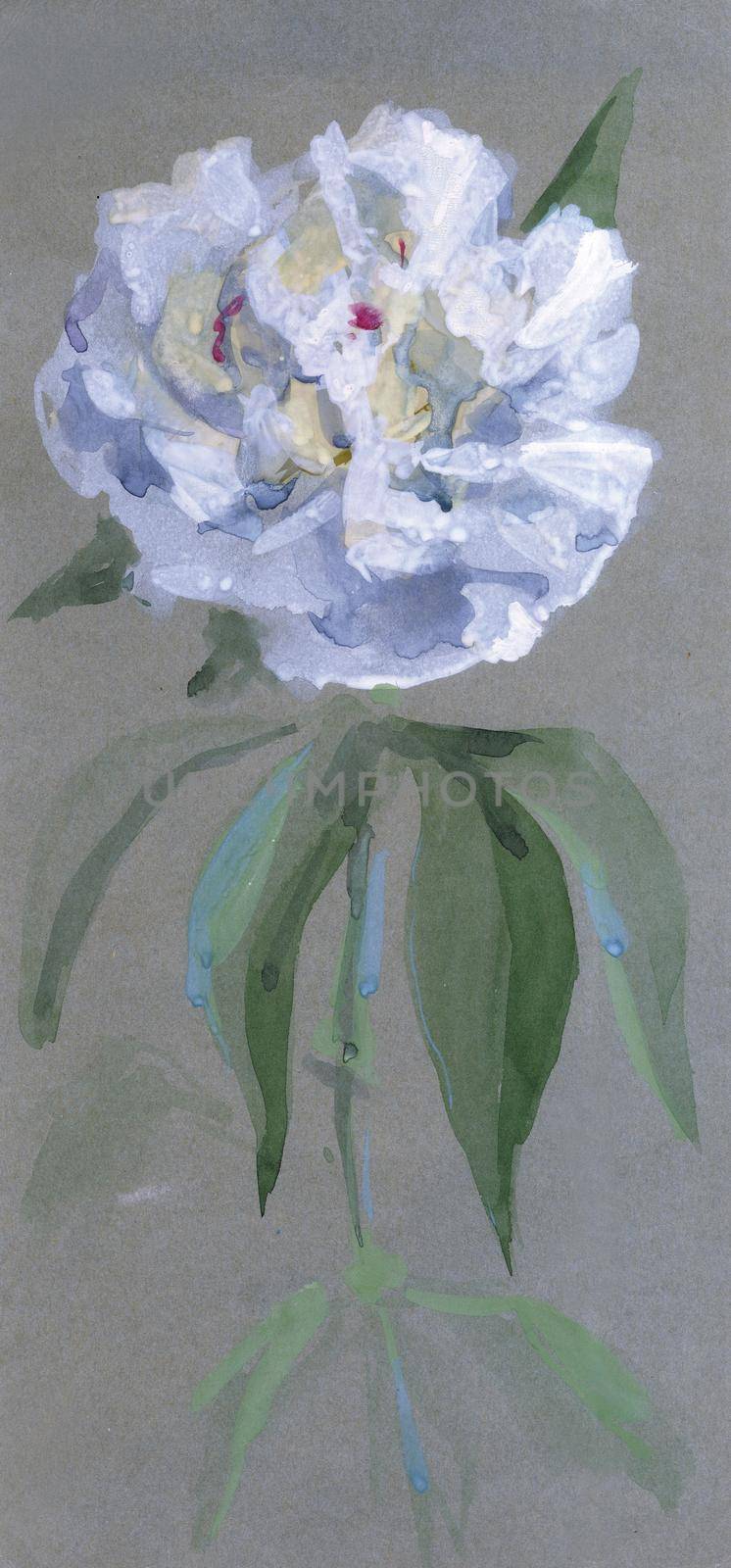A luxurious white peony on a thin stem with leaves on bluish-gray paper
