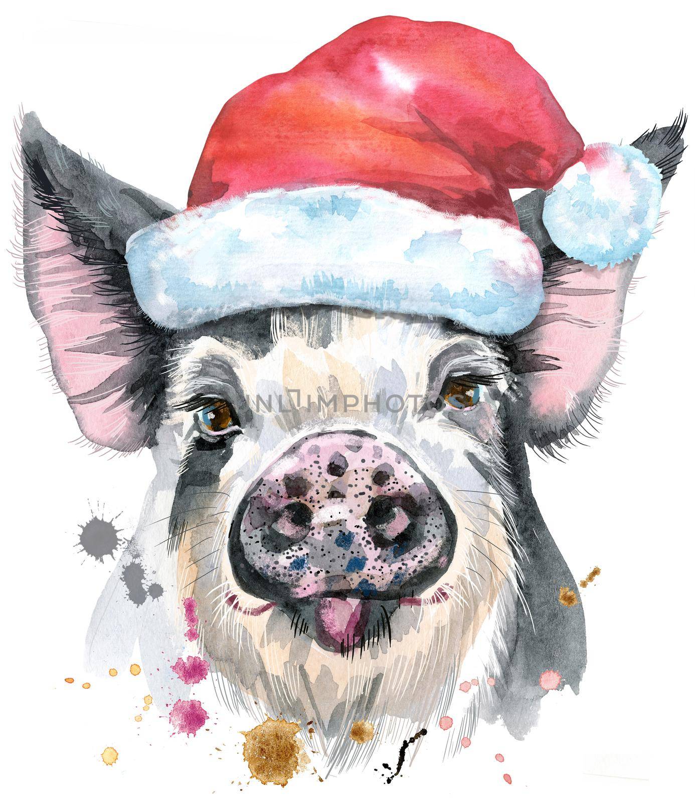 Cute piggy. Pig with Santa hat for T-shirt graphics. Watercolor pig in black spots illustration