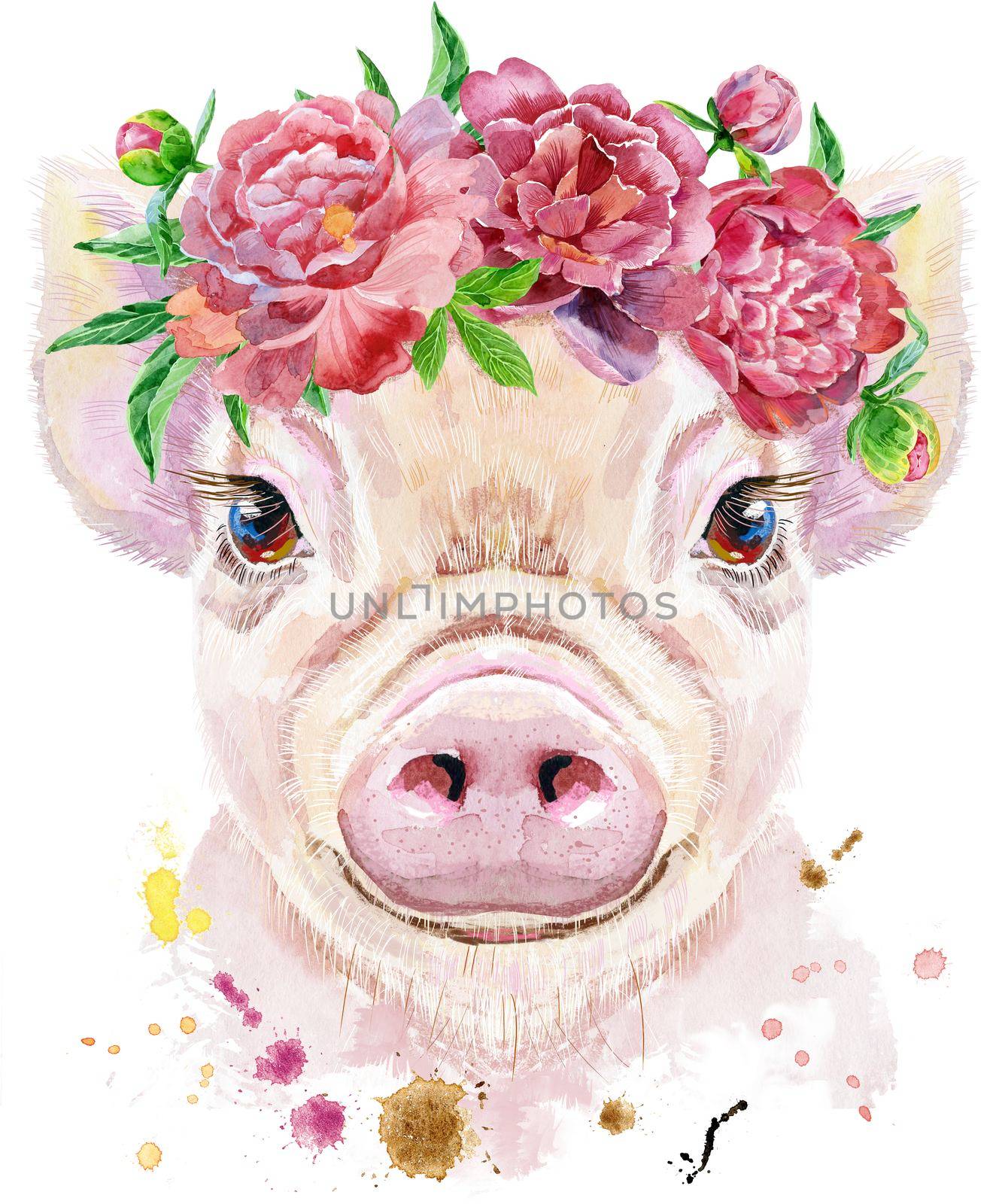 Watercolor portrait of mini pig by NataOmsk