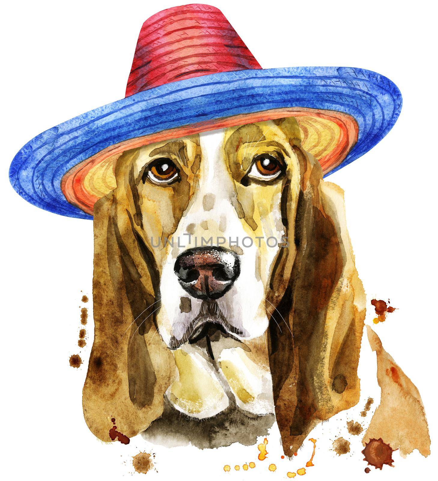 Watercolor portrait of basset hound in sombrero by NataOmsk