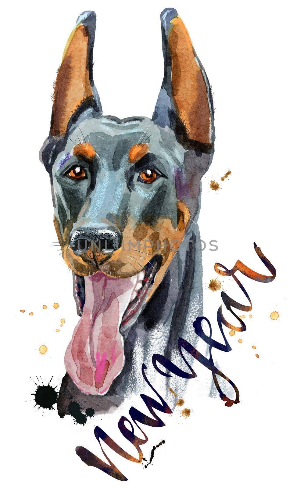 Watercolor portrait doberman by NataOmsk