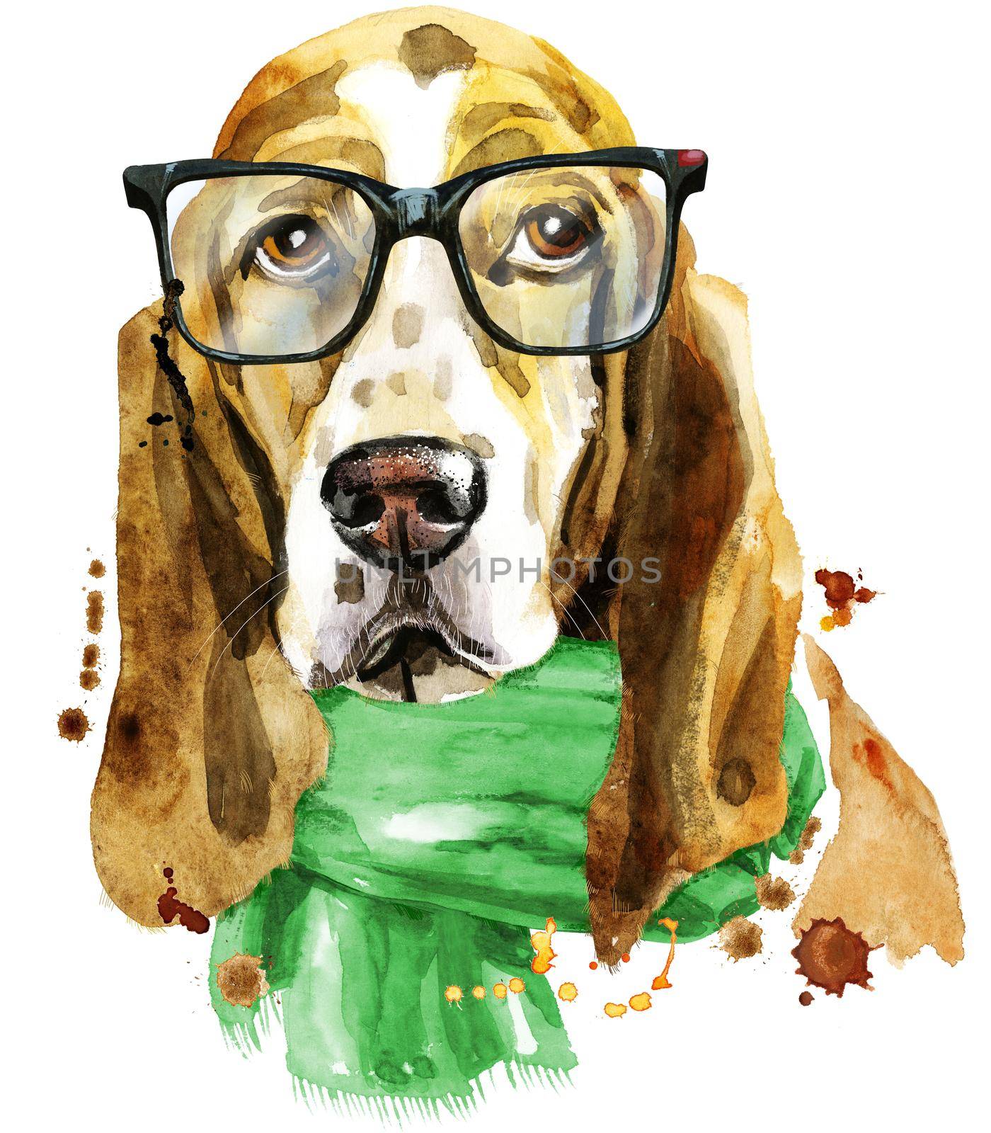 Watercolor portrait of basset hound with glasses and green scarf by NataOmsk