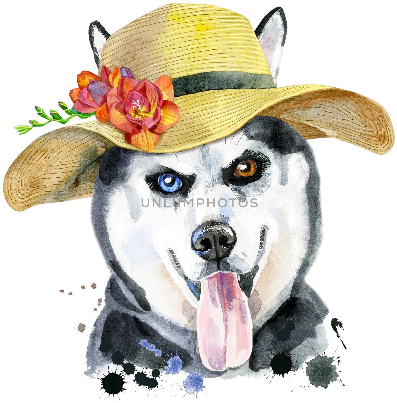 Cute Dog with summer hat with freesia. Dog T-shirt graphics. watercolor husky
