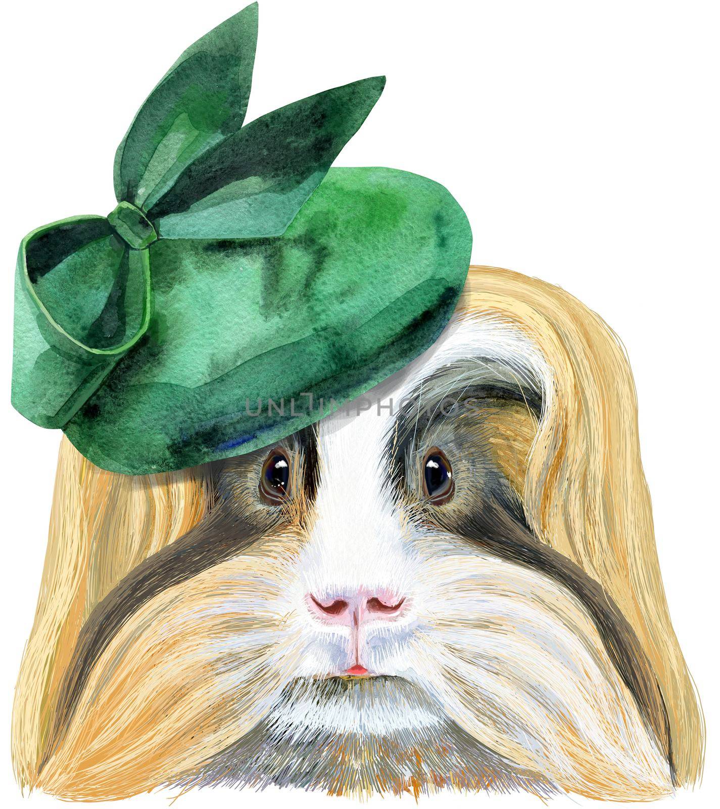 Watercolor portrait of Sheltie Guinea Pig in green hat on white background by NataOmsk