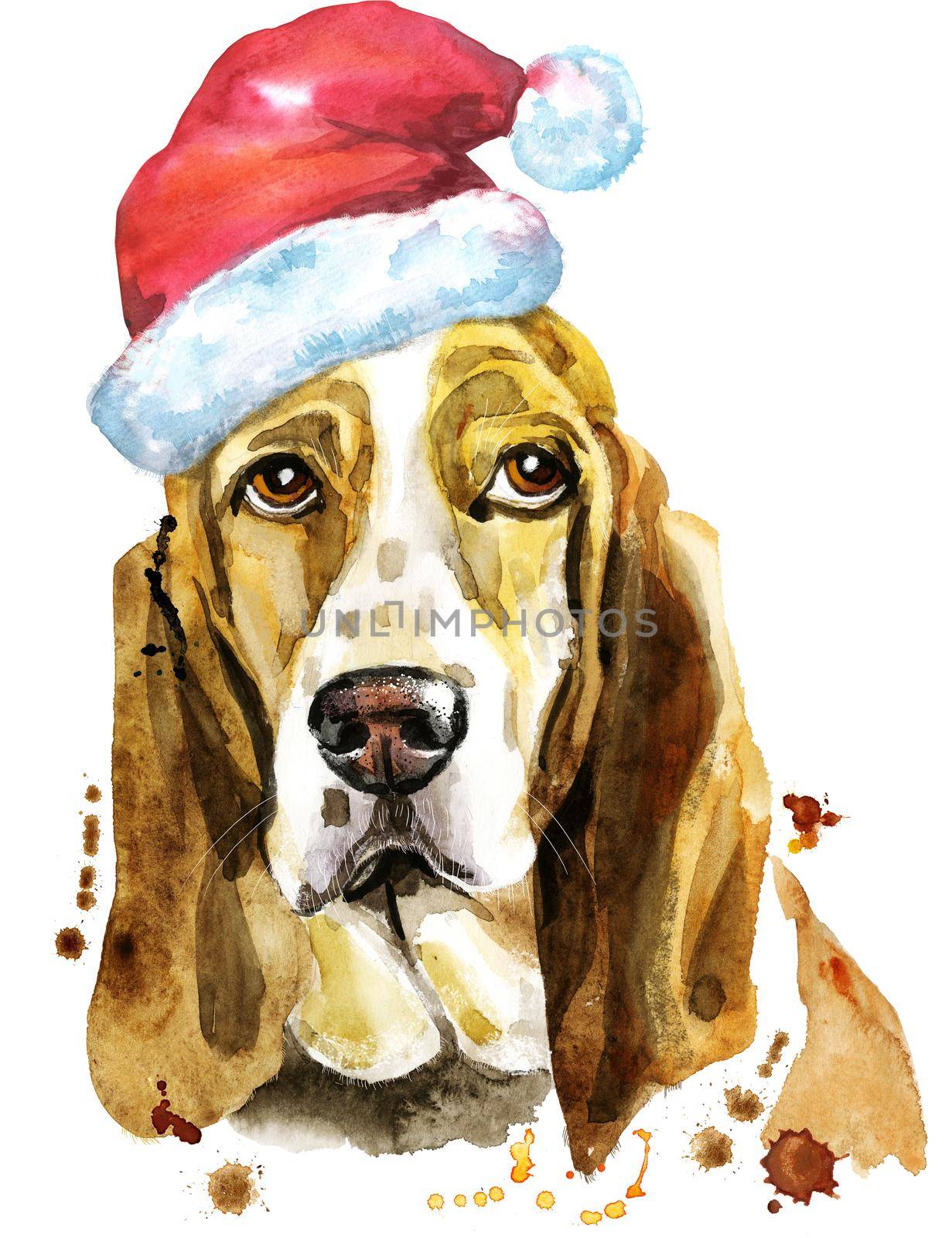 Watercolor portrait of basset hound with Santa hat by NataOmsk