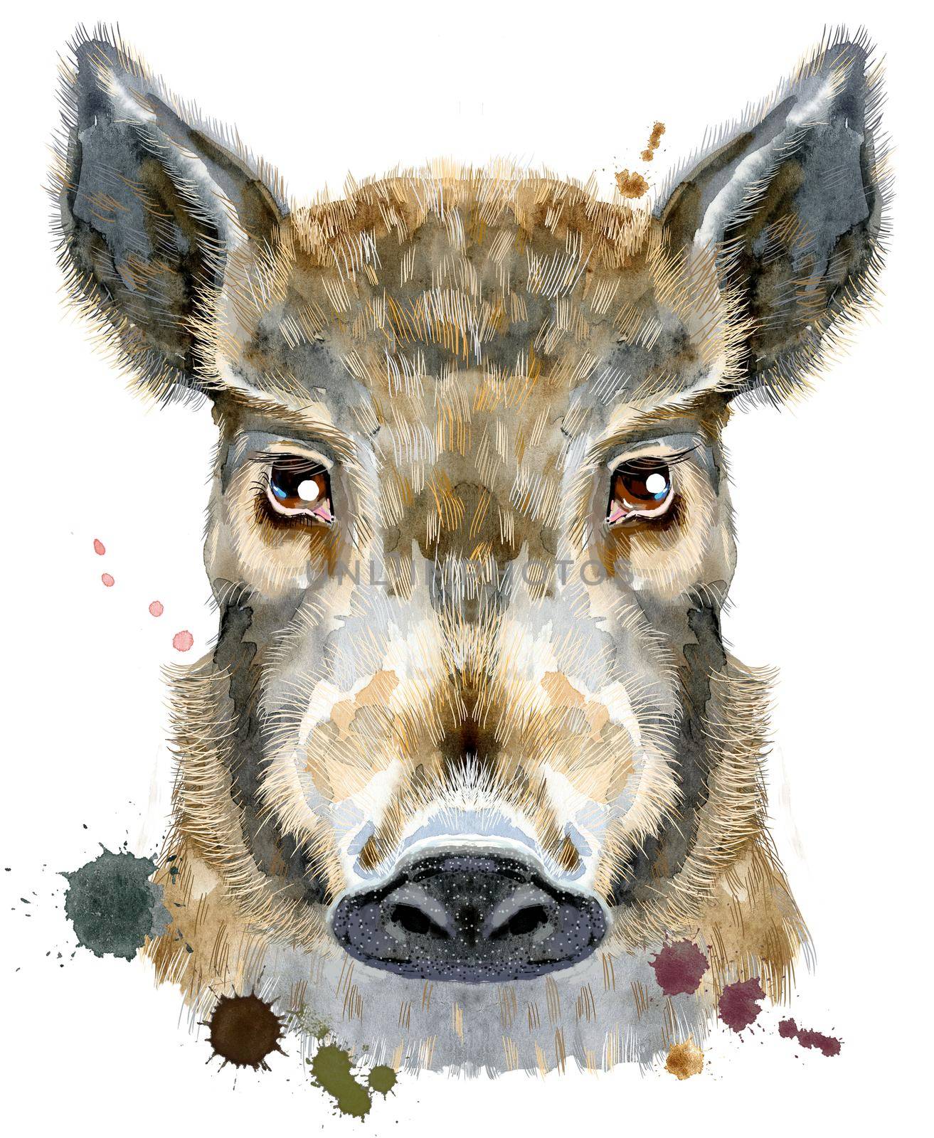 Cute piggy. Wild boar for T-shirt graphics. Watercolor brown boar illustration