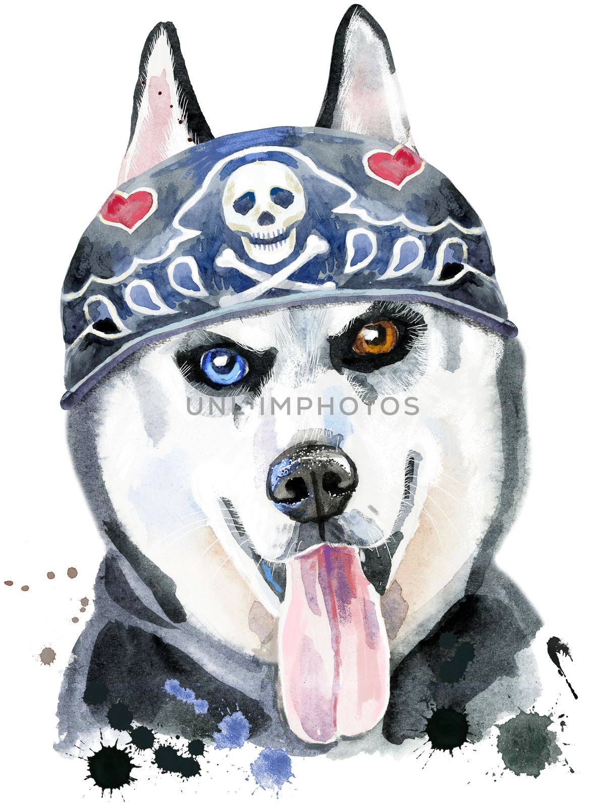 Watercolor portrait of husky wearing in biker bandana by NataOmsk