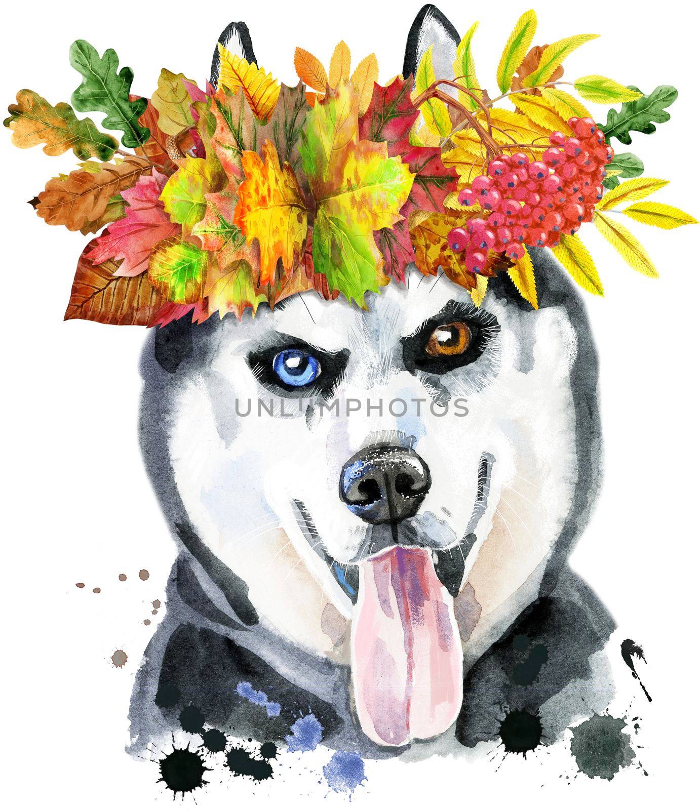 Cute Dog with kerchief and glasses. Dog T-shirt graphics. watercolor husky