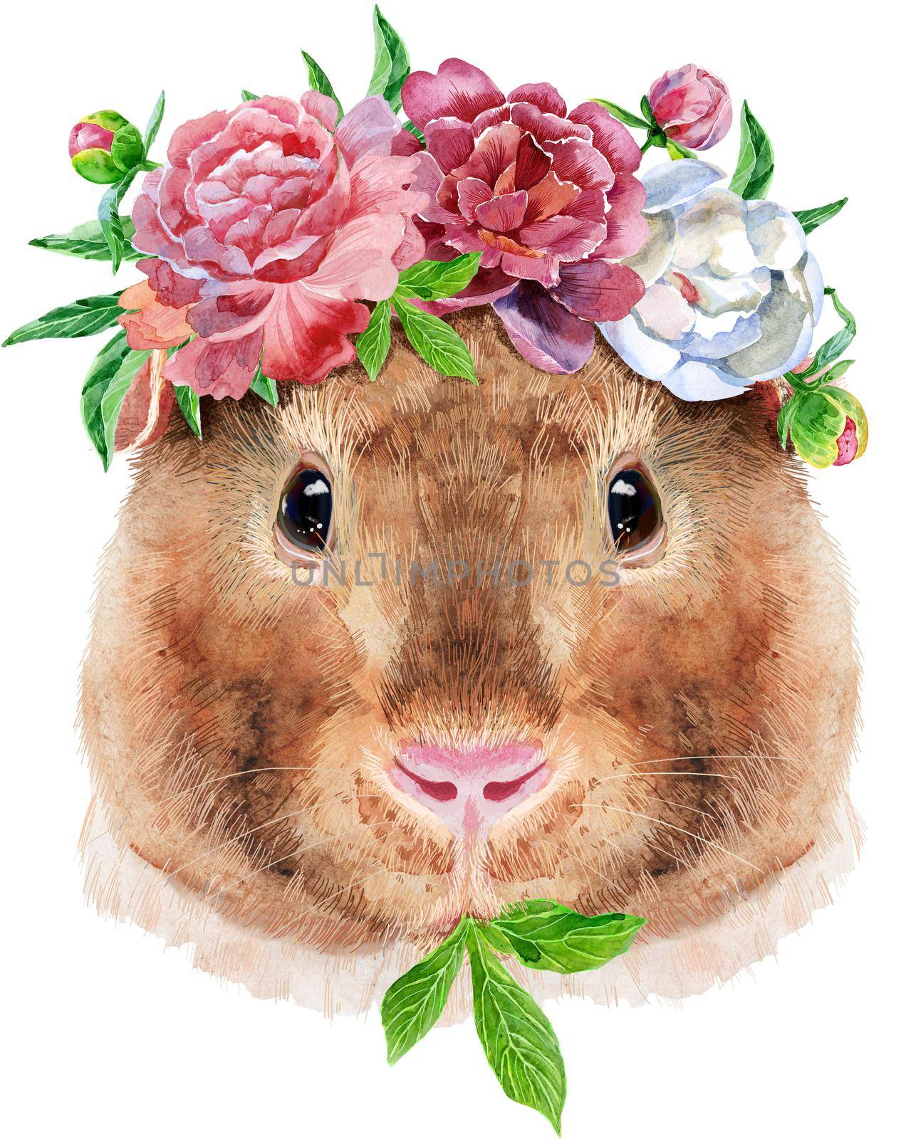 Watercolor portrait of Teddy guinea pig with flowers on white background by NataOmsk