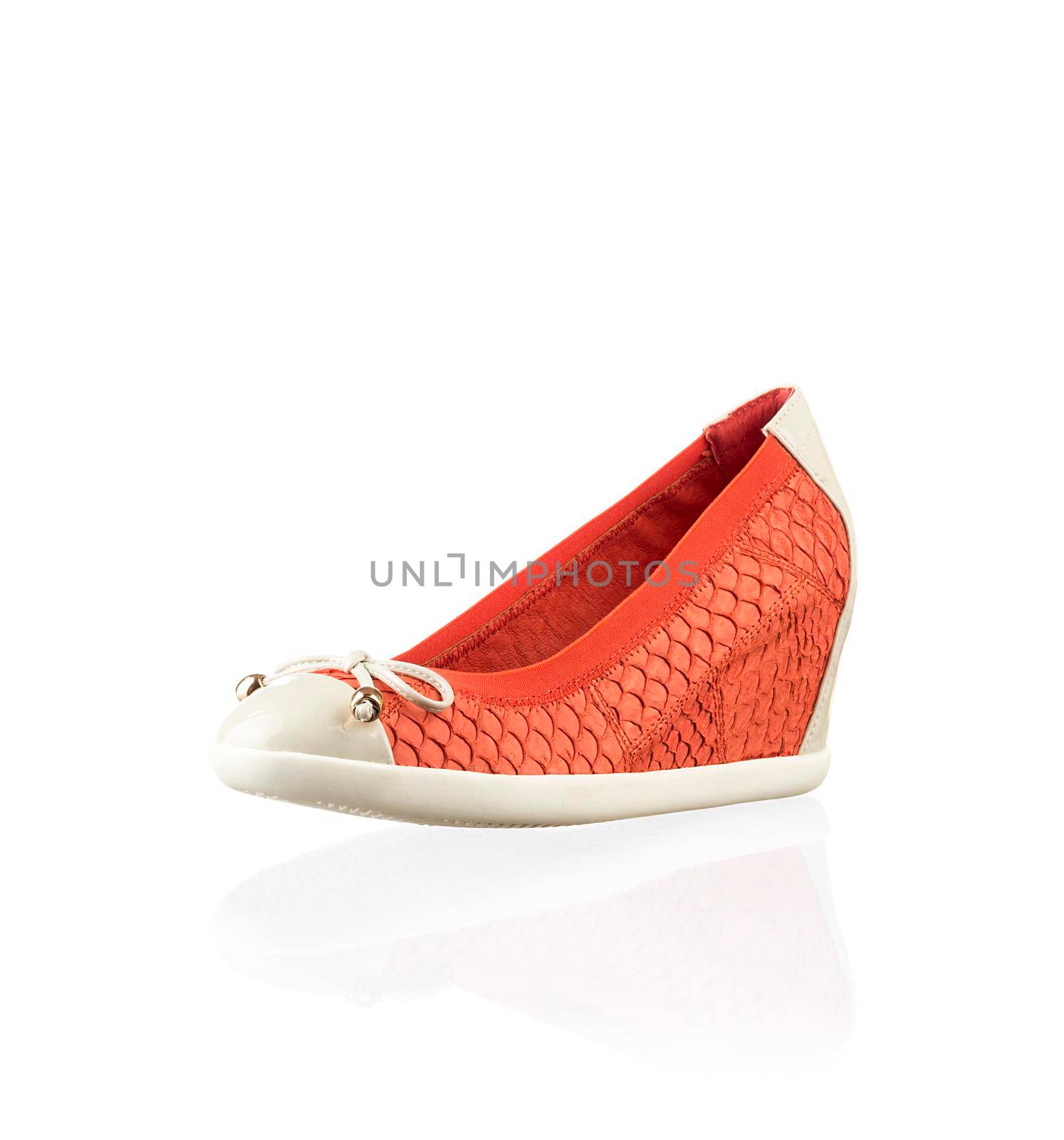 Modern womens fashion shoes isolated on white background