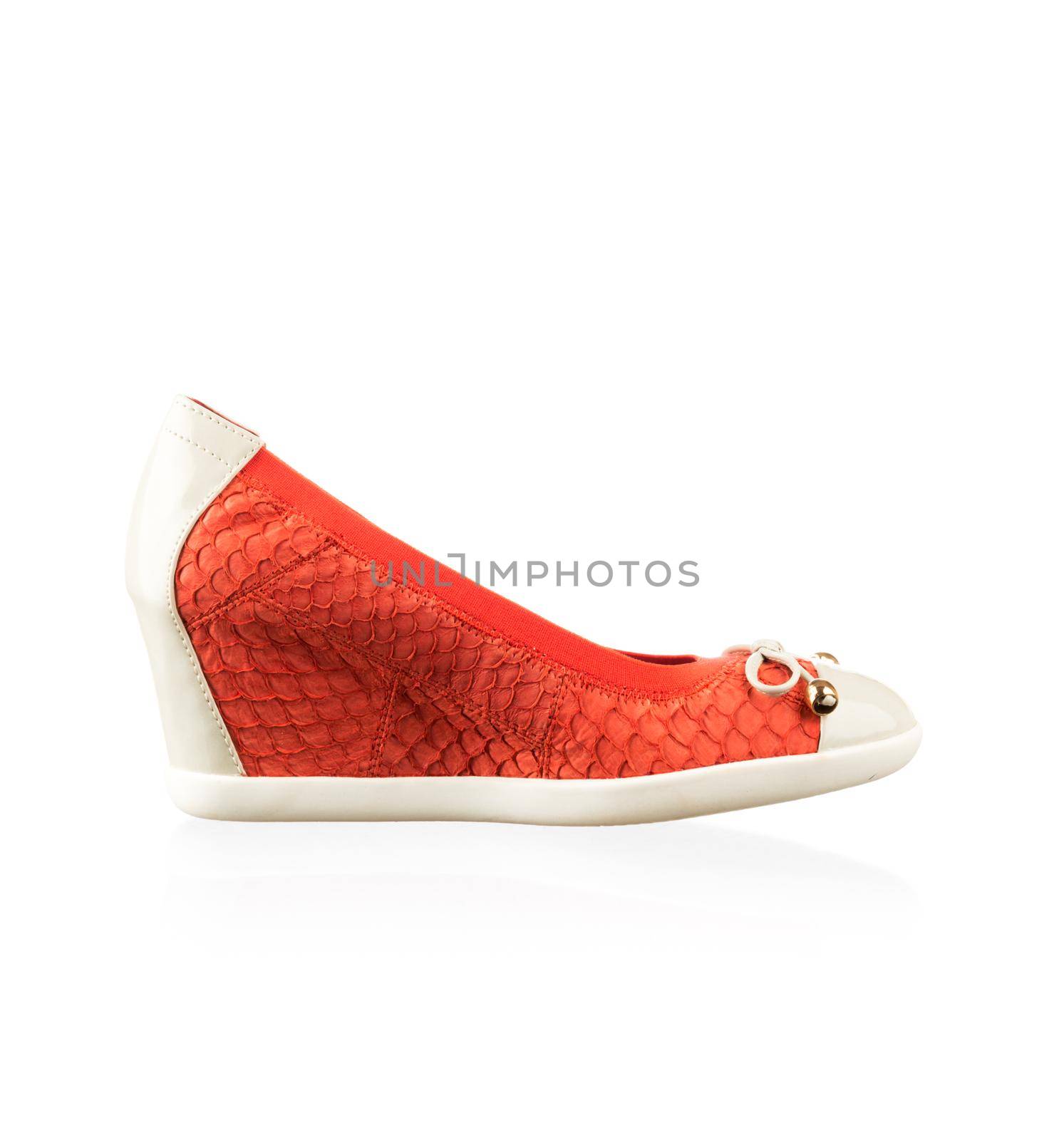 Modern fashionable women shoe shot in studio
