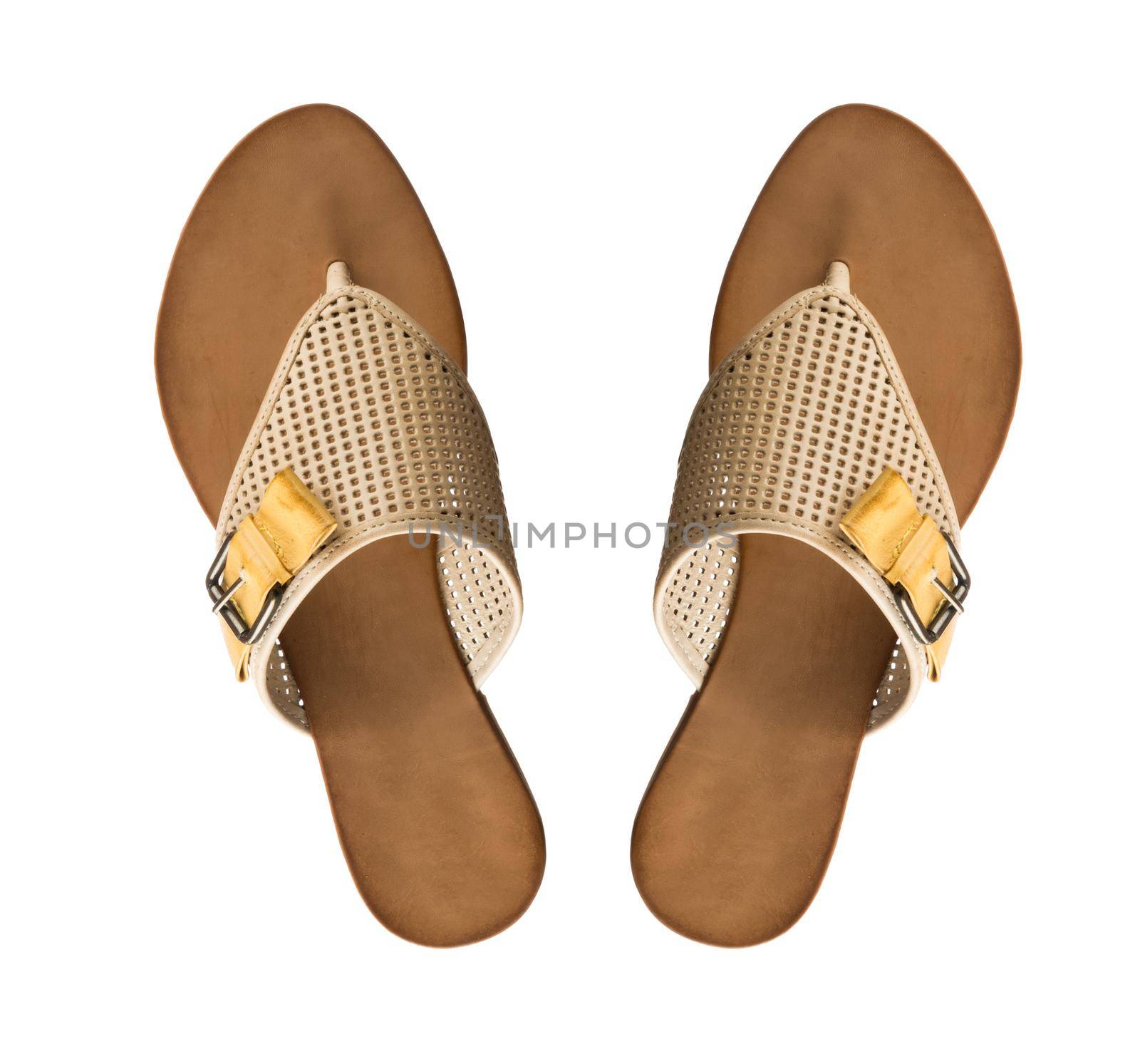 Modern fashionable women flip-flop shoe shot in studio