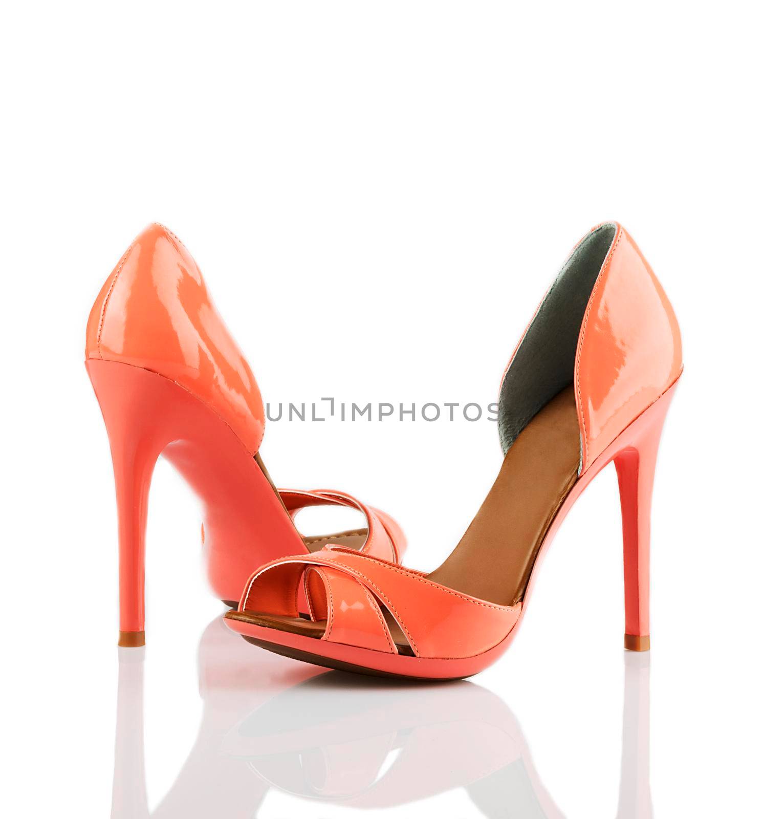 Pair of modern fashionable women shoes shot in studio