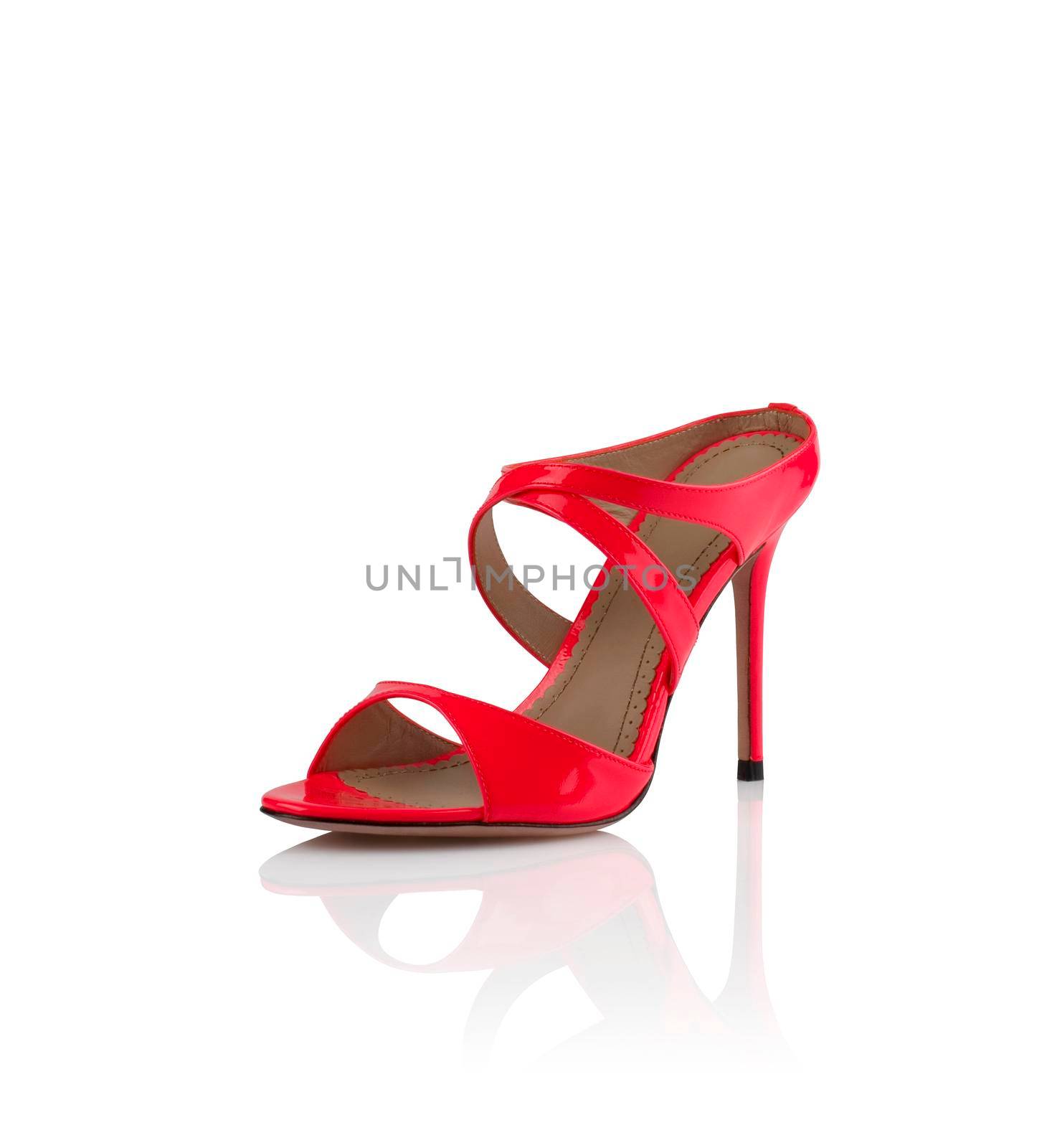 Modern fashionable women shoe shot in studio