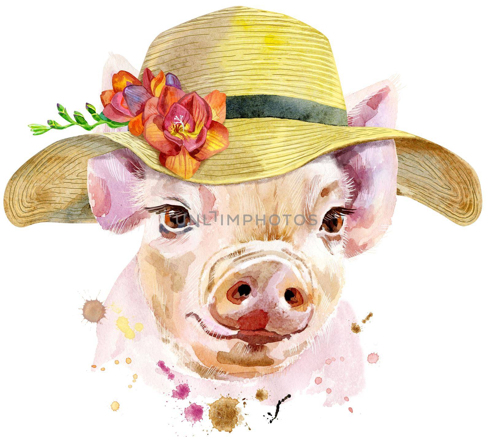 Cute piggy with summer hat. Pig for T-shirt graphics. Watercolor pink mini pig illustration