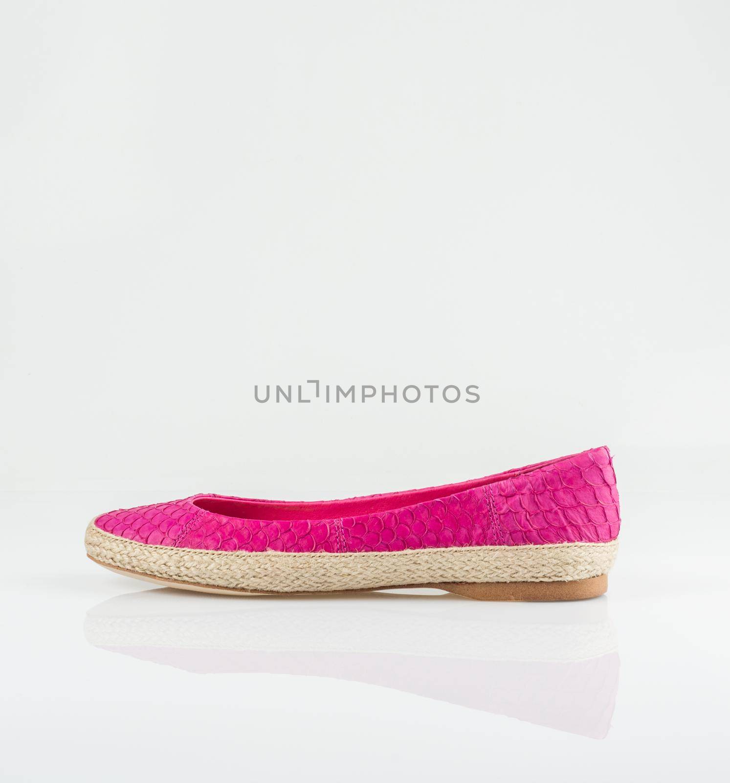 Modern fashionable women shoe shot in studio