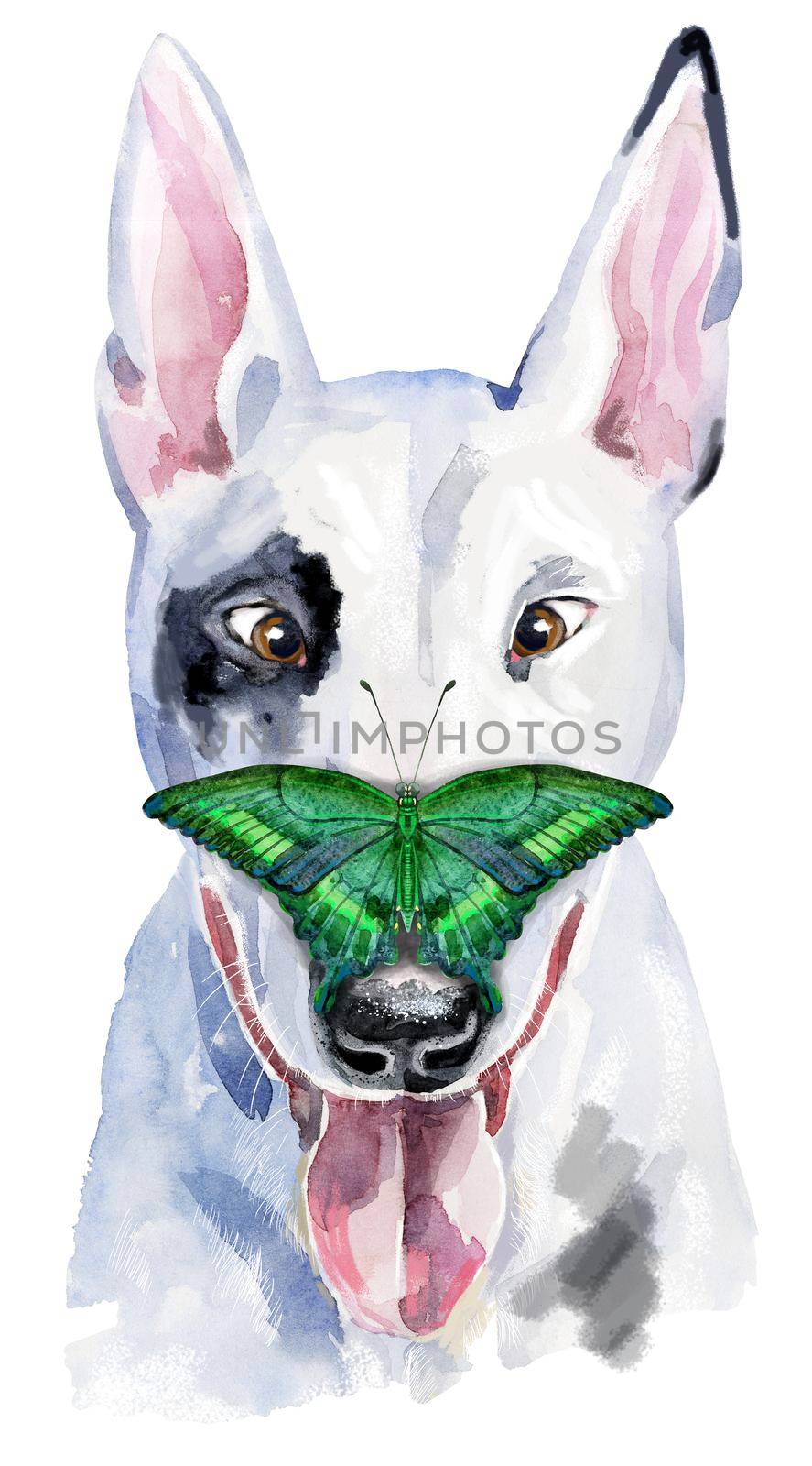 Cute Dog with butterfly on its nose. Dog T-shirt graphics. watercolor bull terrier illustration