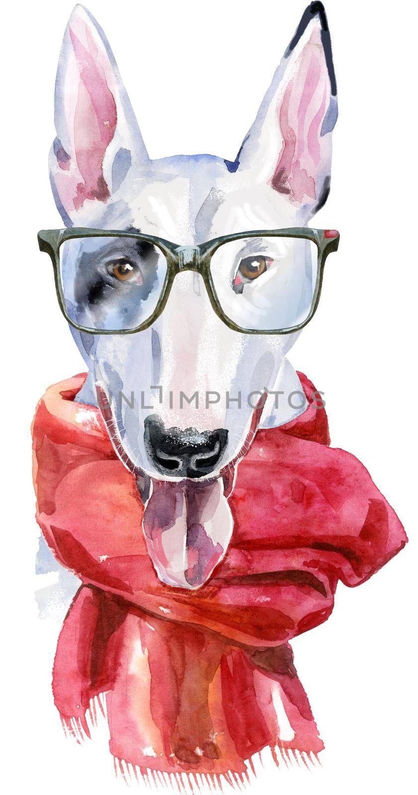 Watercolor portrait of bull terrier with glasses and a red scarf by NataOmsk