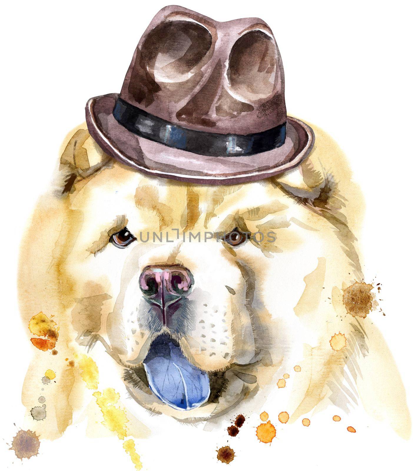 Watercolor portrait of chow-chow dog in a brown hat by NataOmsk