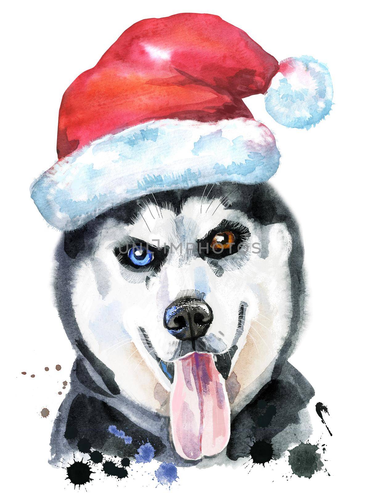Watercolor portrait of husky with Santa hat by NataOmsk