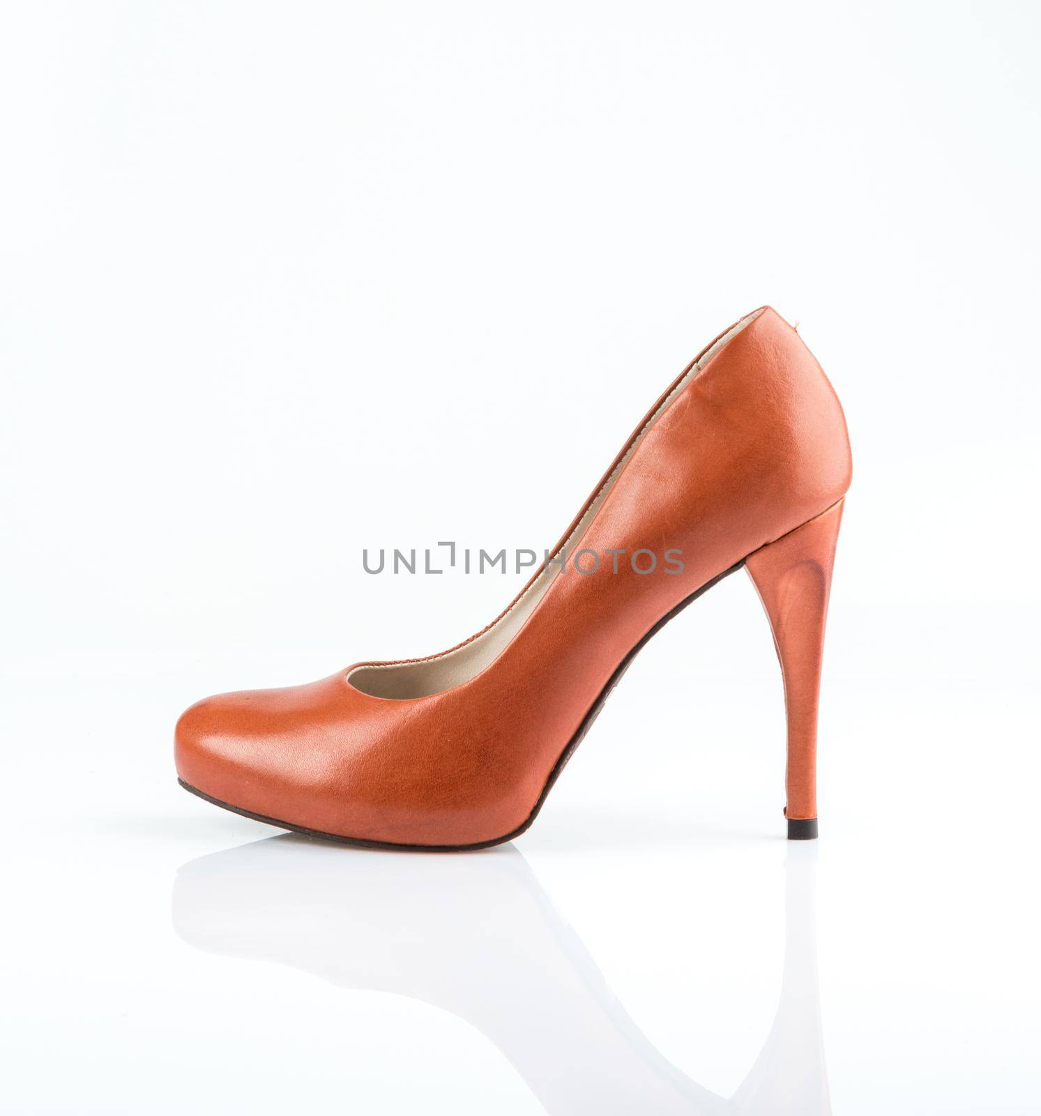 Modern fashionable women shoe shot in studio