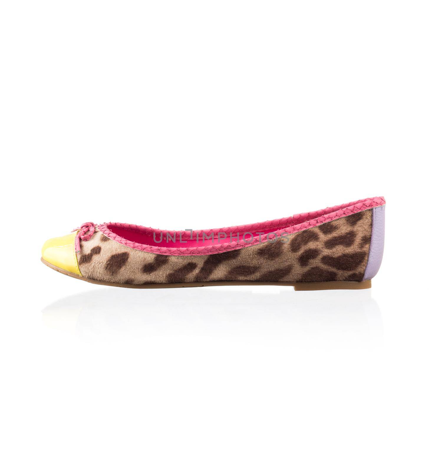 Modern fashionable women shoe shot in studio