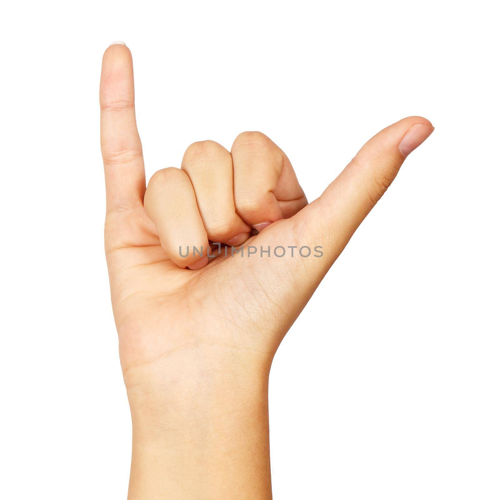 american sign language. female hand showing letter y. isolated on white background