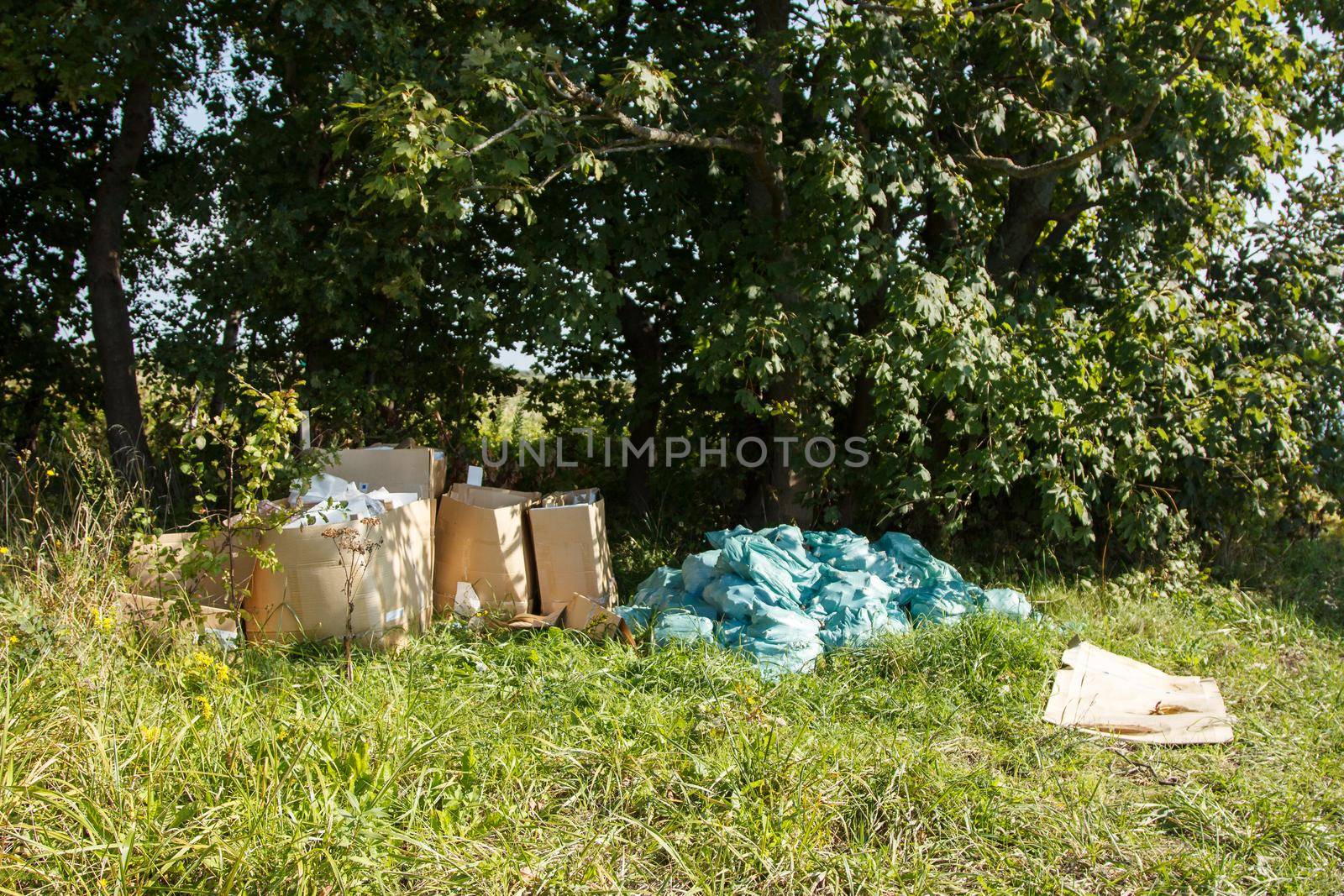 unauthorized garbage dump in the forest by raddnatt