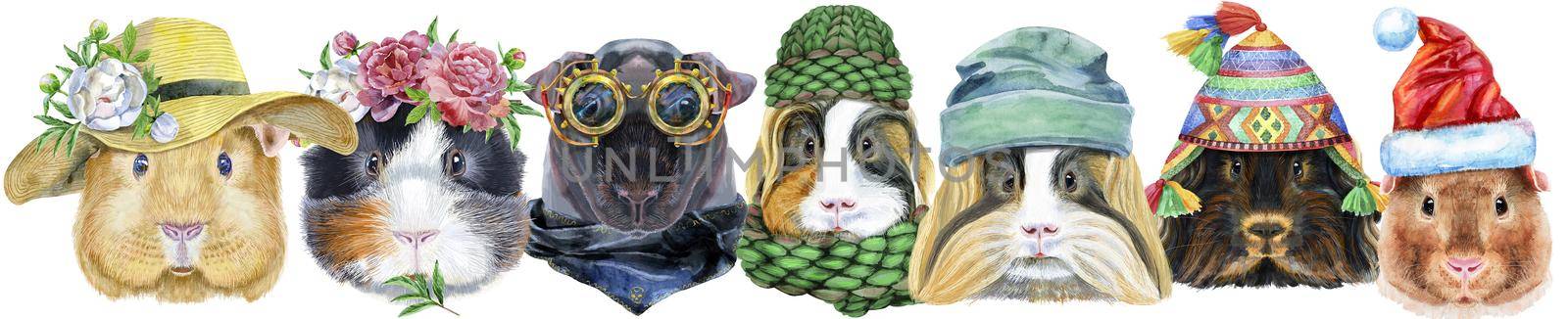 Cute cavy. Pig for T-shirt graphics. Watercolor guinea pigs border set