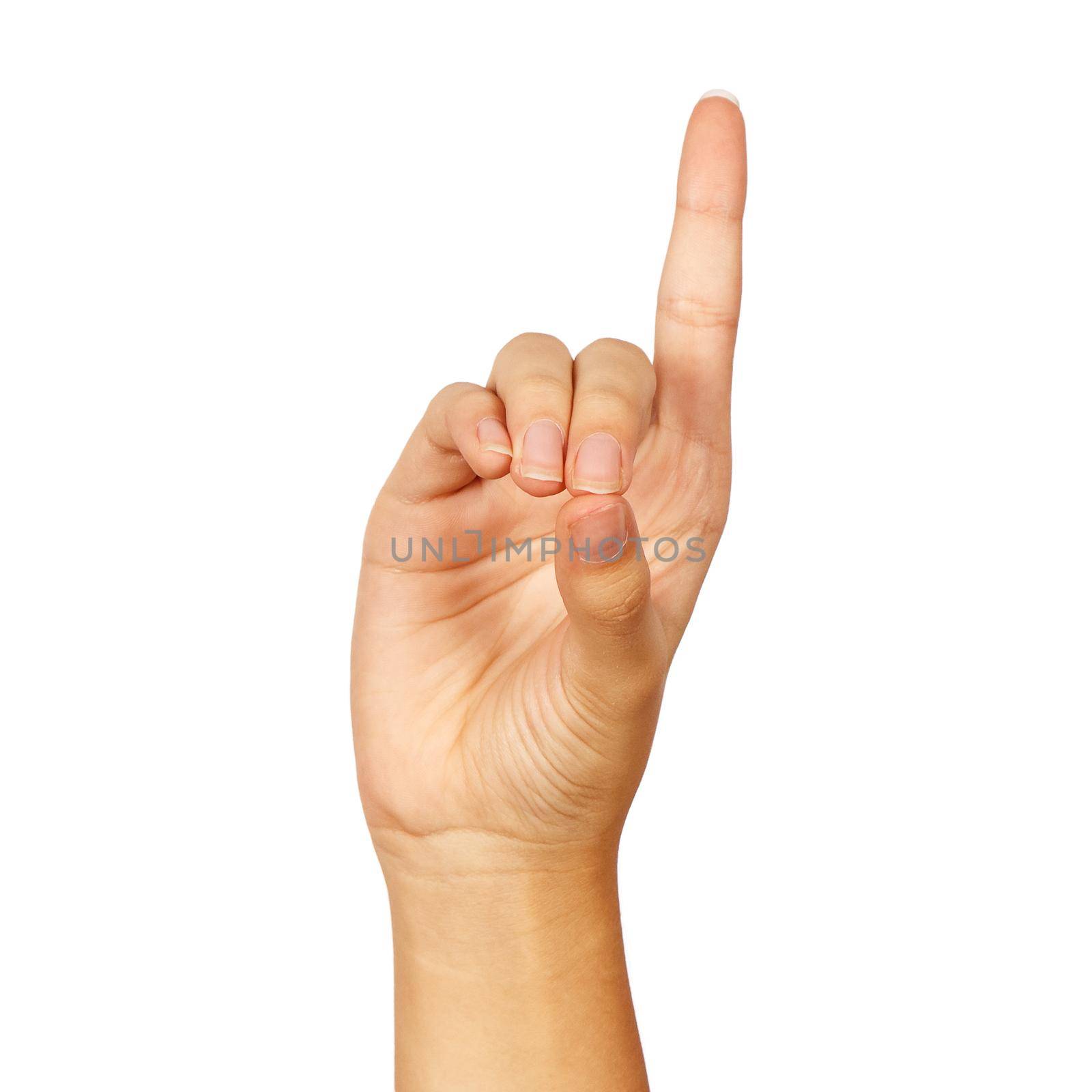 american sign language. female hand showing letter d. isolated on white background